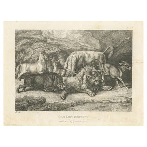 Original Antique Print of Old Lion Insulted