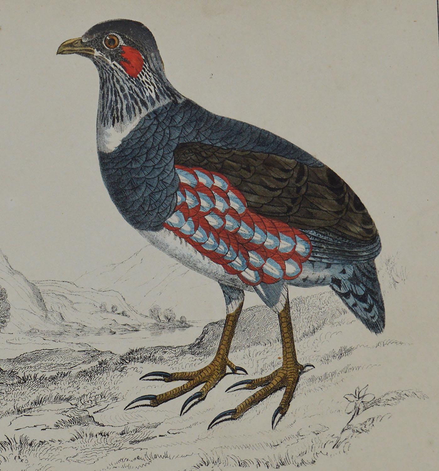 Folk Art Original Antique Print of Partridge, 1847 'Unframed'