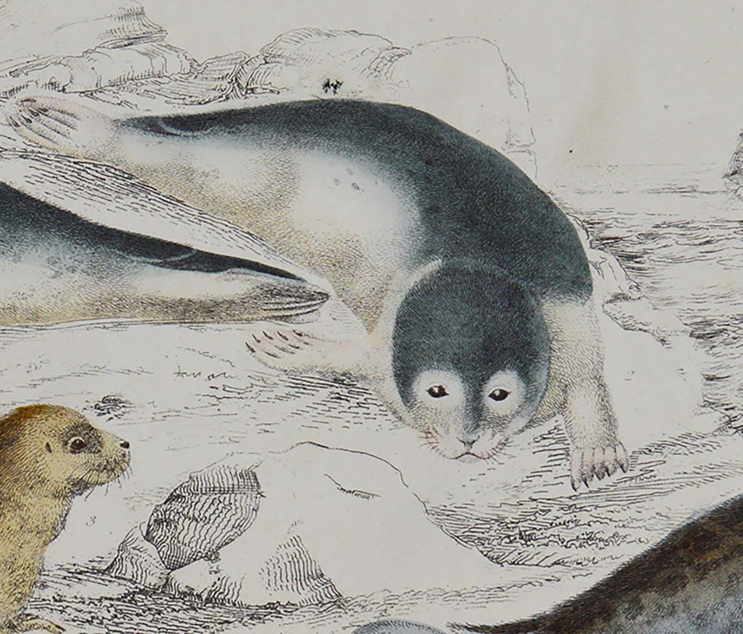 Folk Art Original Antique Print of Seals, 1847 'Unframed'