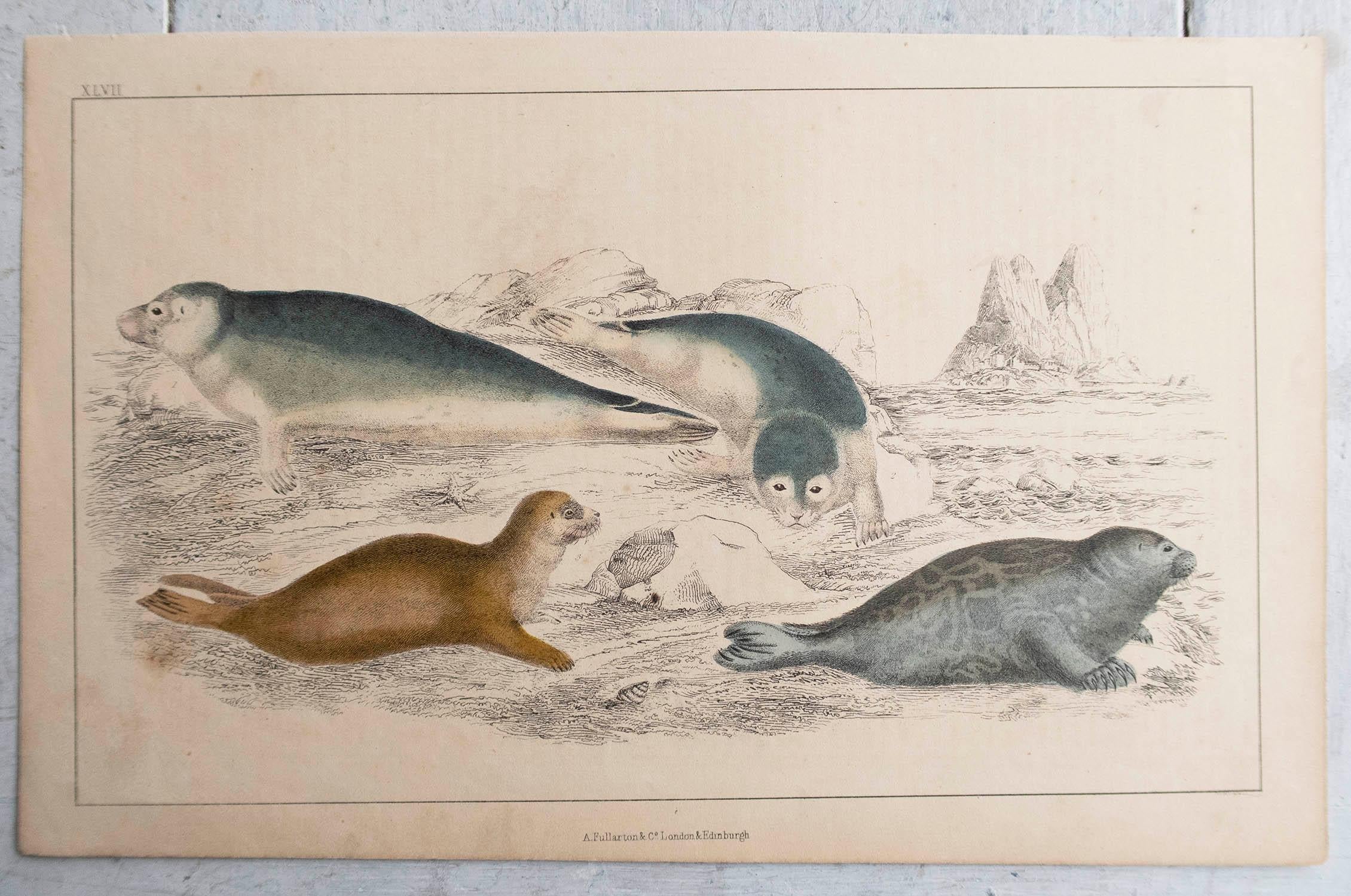 Folk Art Original Antique Print of Seals, 1847 'Unframed' For Sale