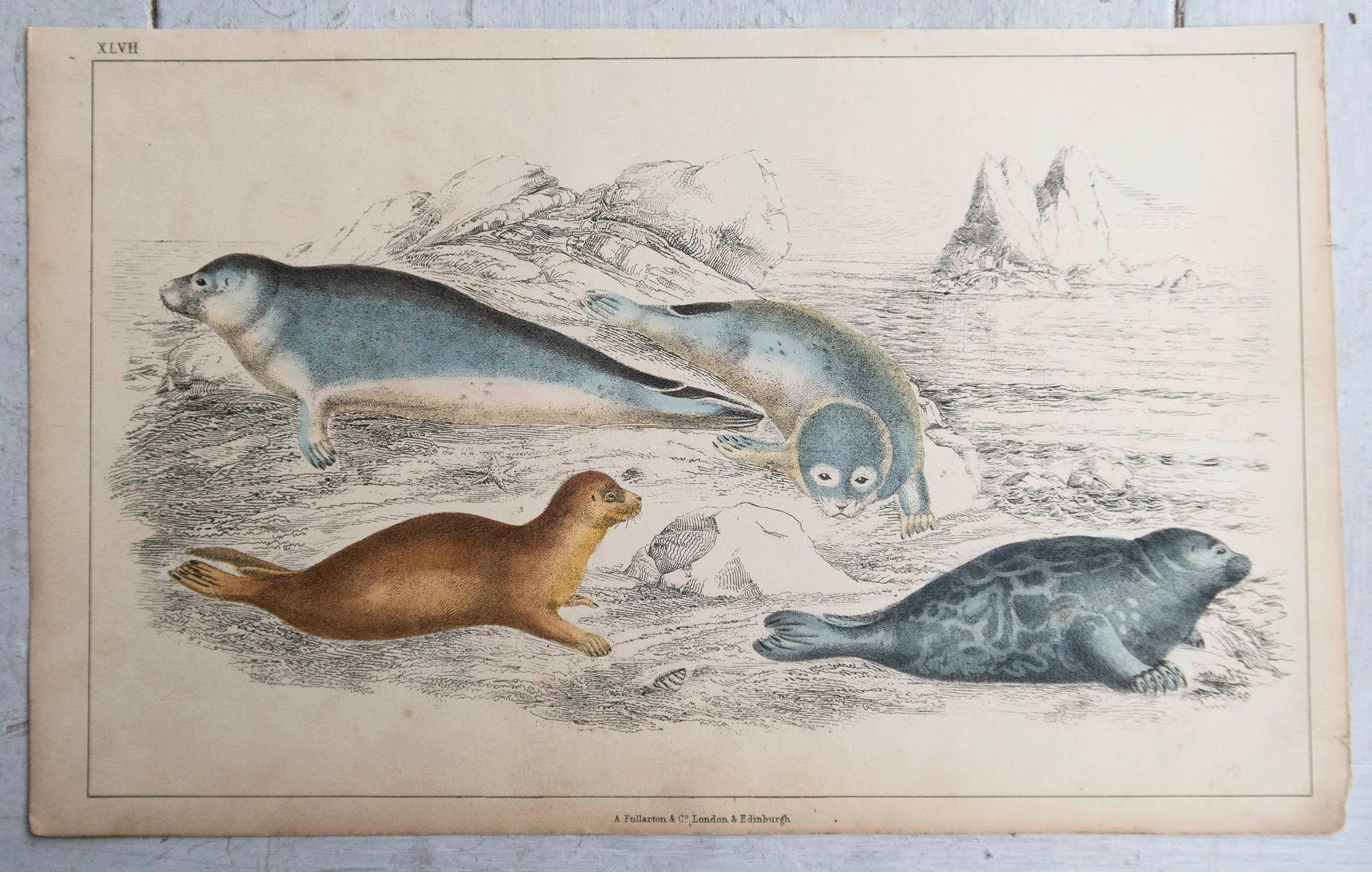 Anglais Impression originale et ancienne de sceaux, 1847, non encadrée en vente