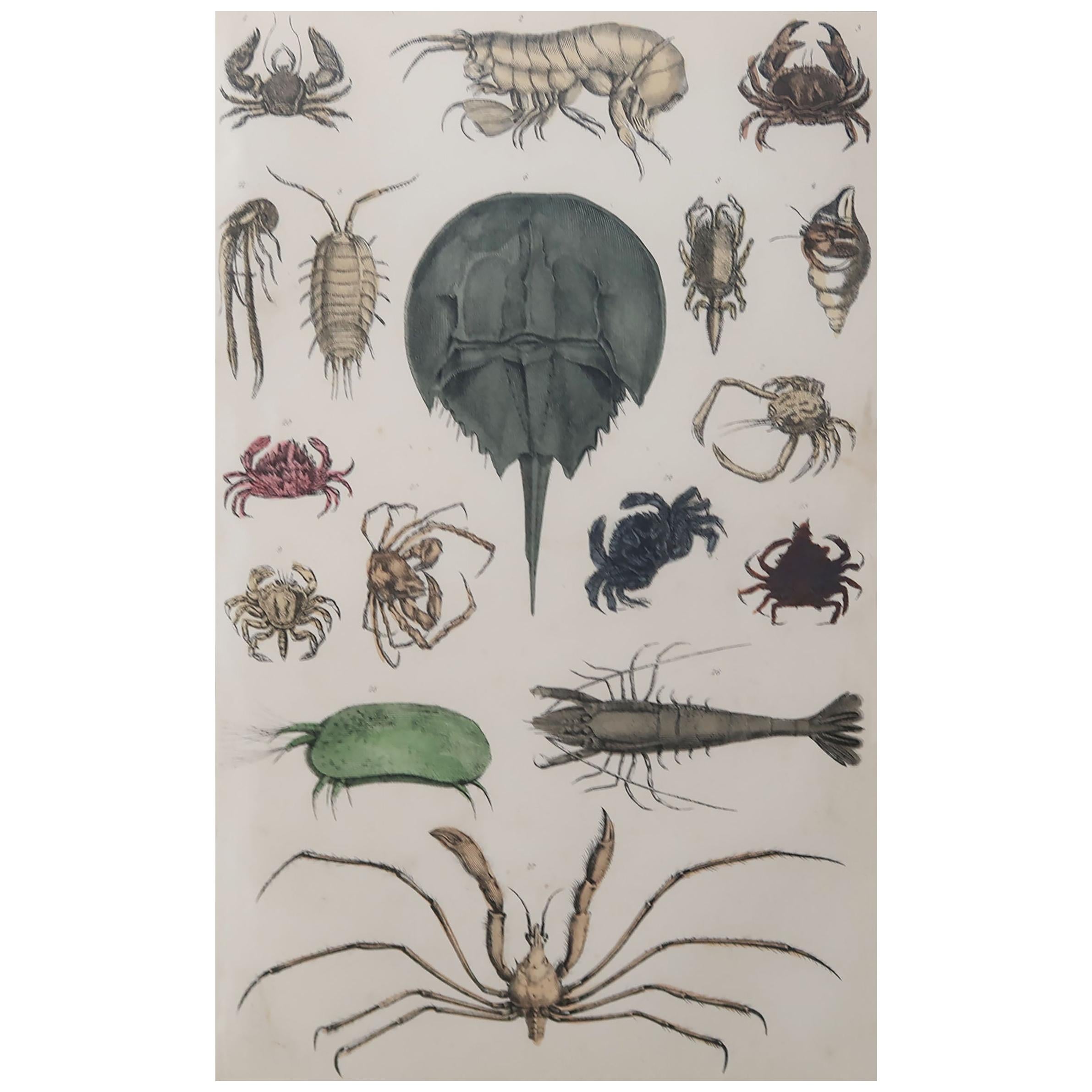 Antique and Vintage Prints 9,269 For Sale at 1stDibs