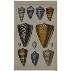 Folk Art Decorative Art