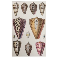 Paper Decorative Art