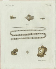 Original Antique Print of Tapeworm and Parasites by Bertuch, circa 1800
