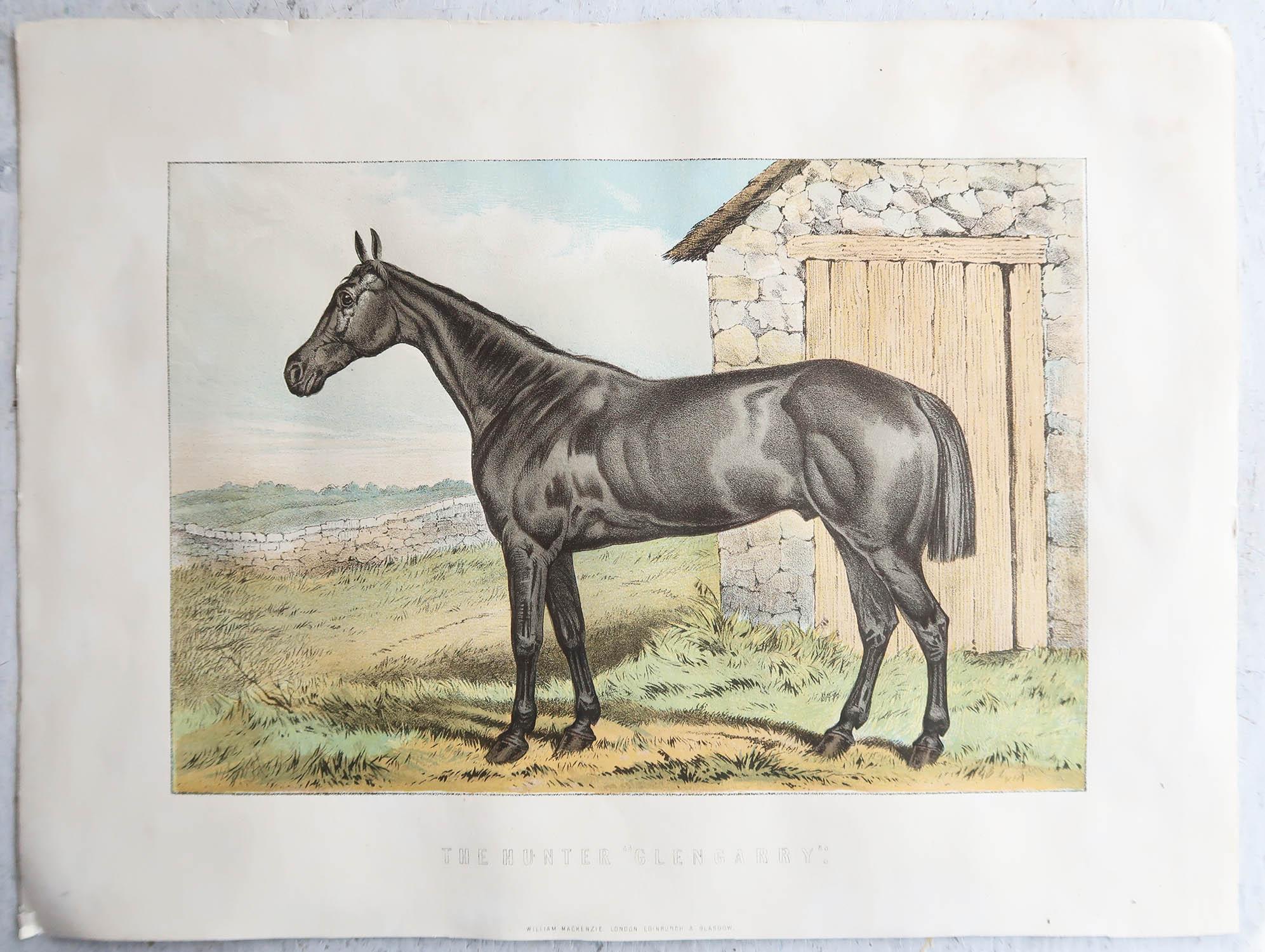 Folk Art Original Antique Print of The Hunter Horse 