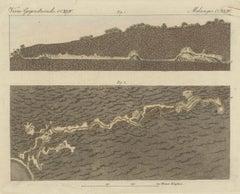 Original Antique Print of the Large Cave of Baradla Near Aggtelek in Hungary