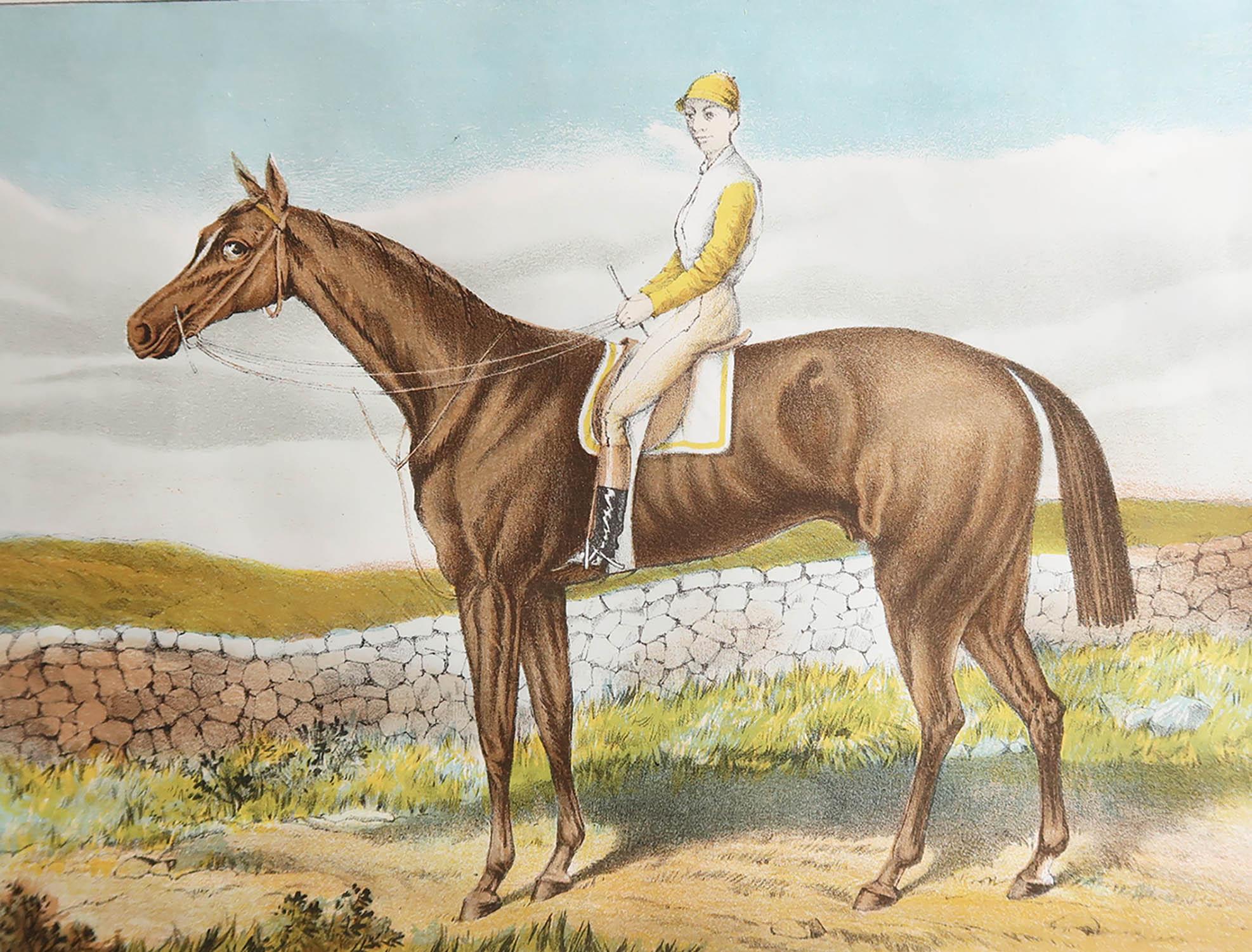 Tolles Bild eines Rennpferdes.

Chromo-Lithographie. 

Originalfarbe.

Veröffentlicht von Mackenzie. C.1890








.