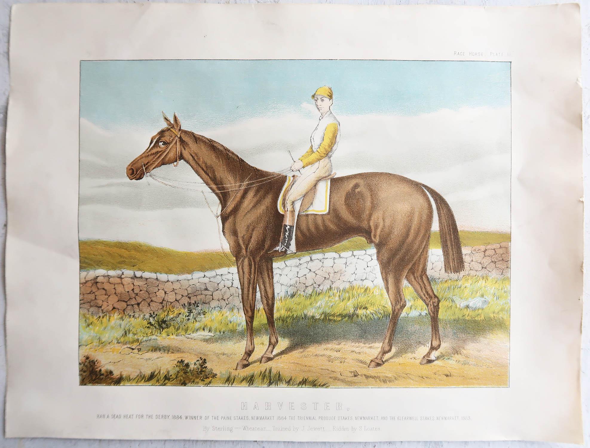 Original Antiker Originaldruck des Rennpferdes „ Harvester“ aus dem Jahr 1890  (Volkskunst) im Angebot