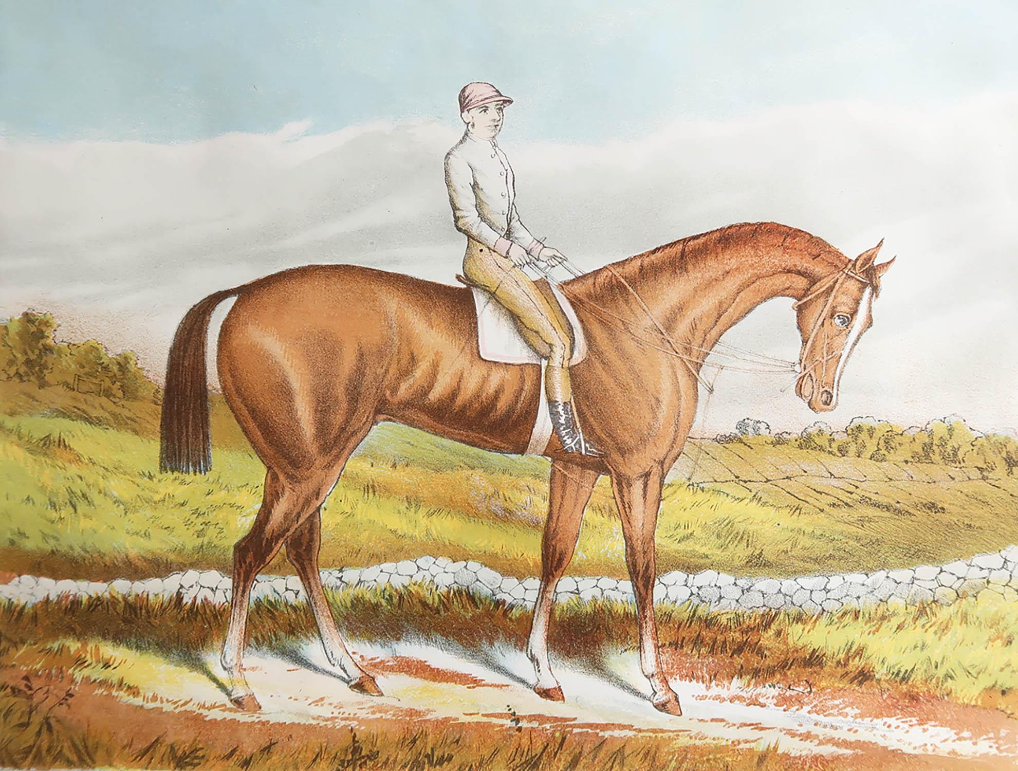 Great image of a racehorse.

Chromo-lithograph. 

Original colour.

Published by Mackenzie. C.1890








.