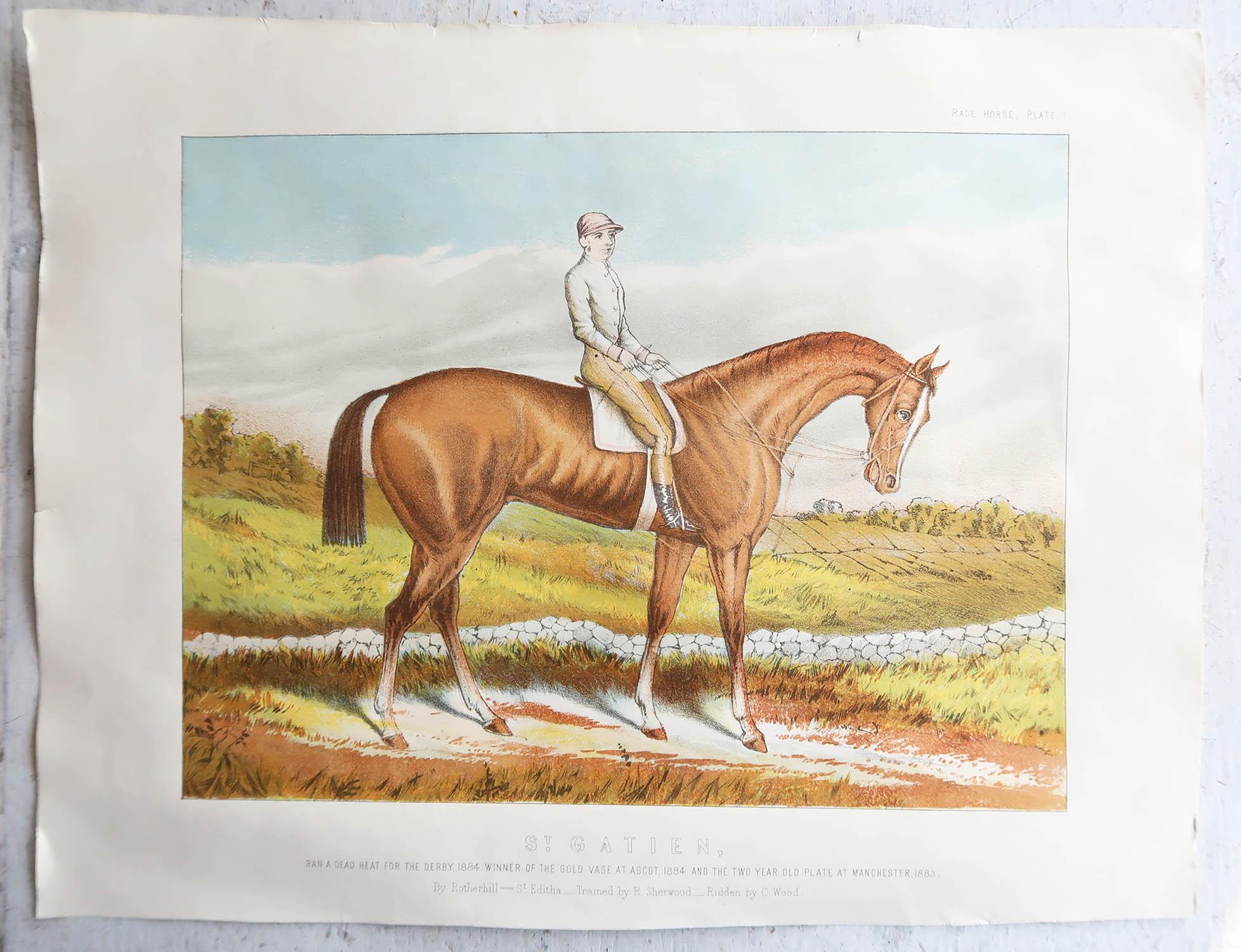 Artisanat Impression ancienne originale du cheval de course « St. Gatien », vers 1890  en vente
