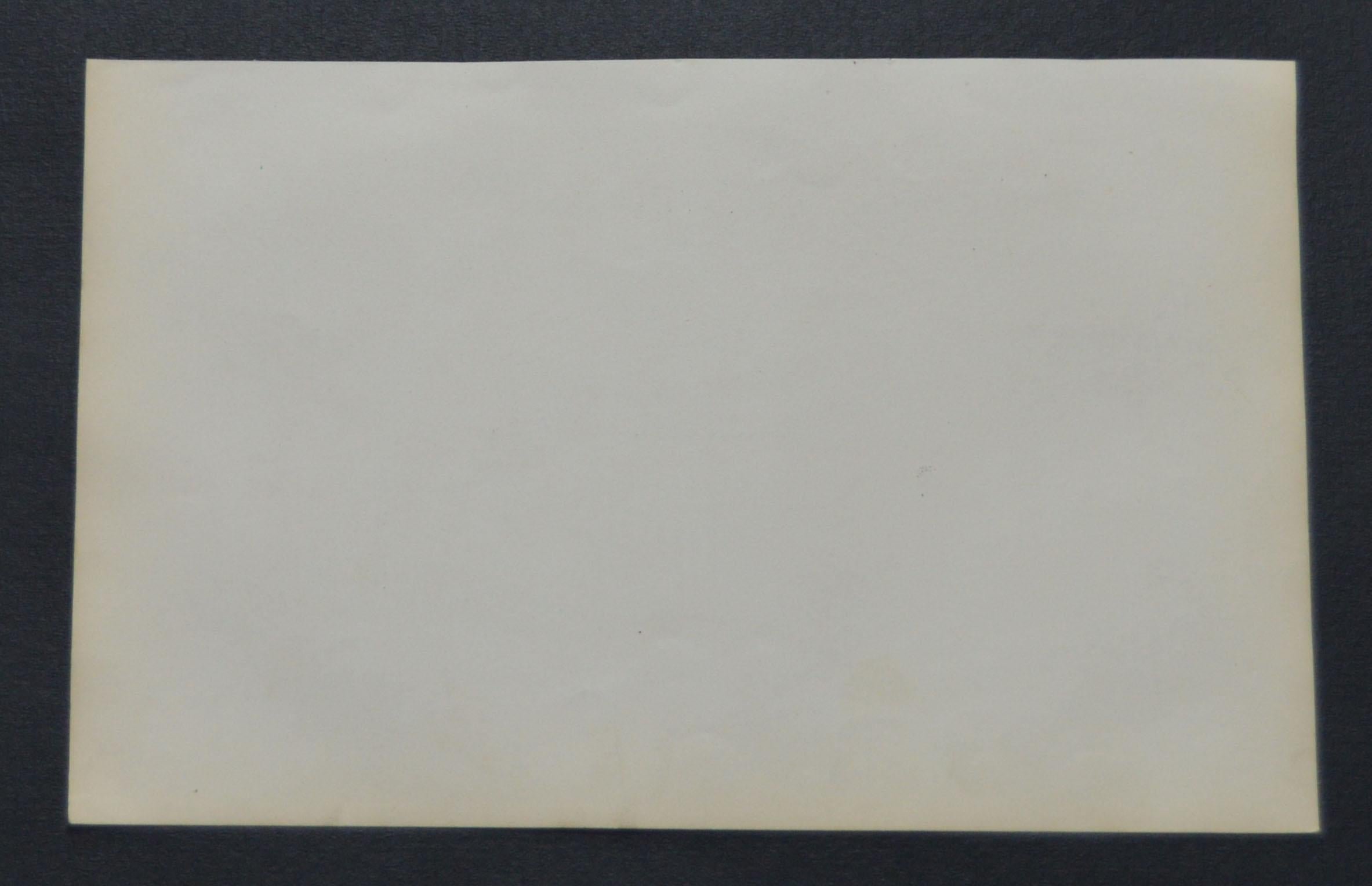 English Original Antique Print of Toucan, 1847 'Unframed'