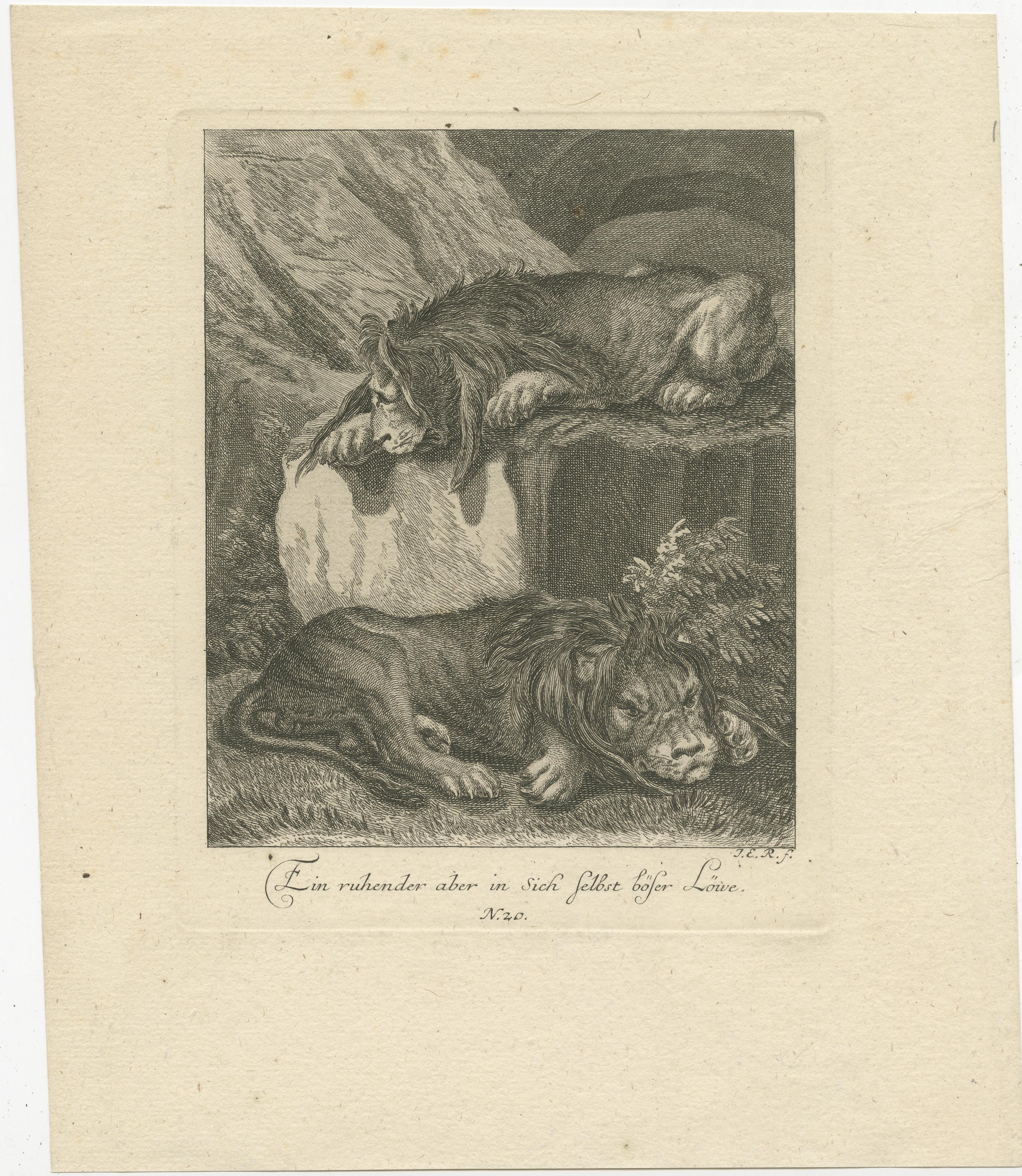 Antique print titled 'Ein ruhender aber in sich selbst böser Löwe'. Old German print of two lions resting. This print originates from 'Entwurff einiger Thiere (..)' by J.E. Ridinger, published 1738.