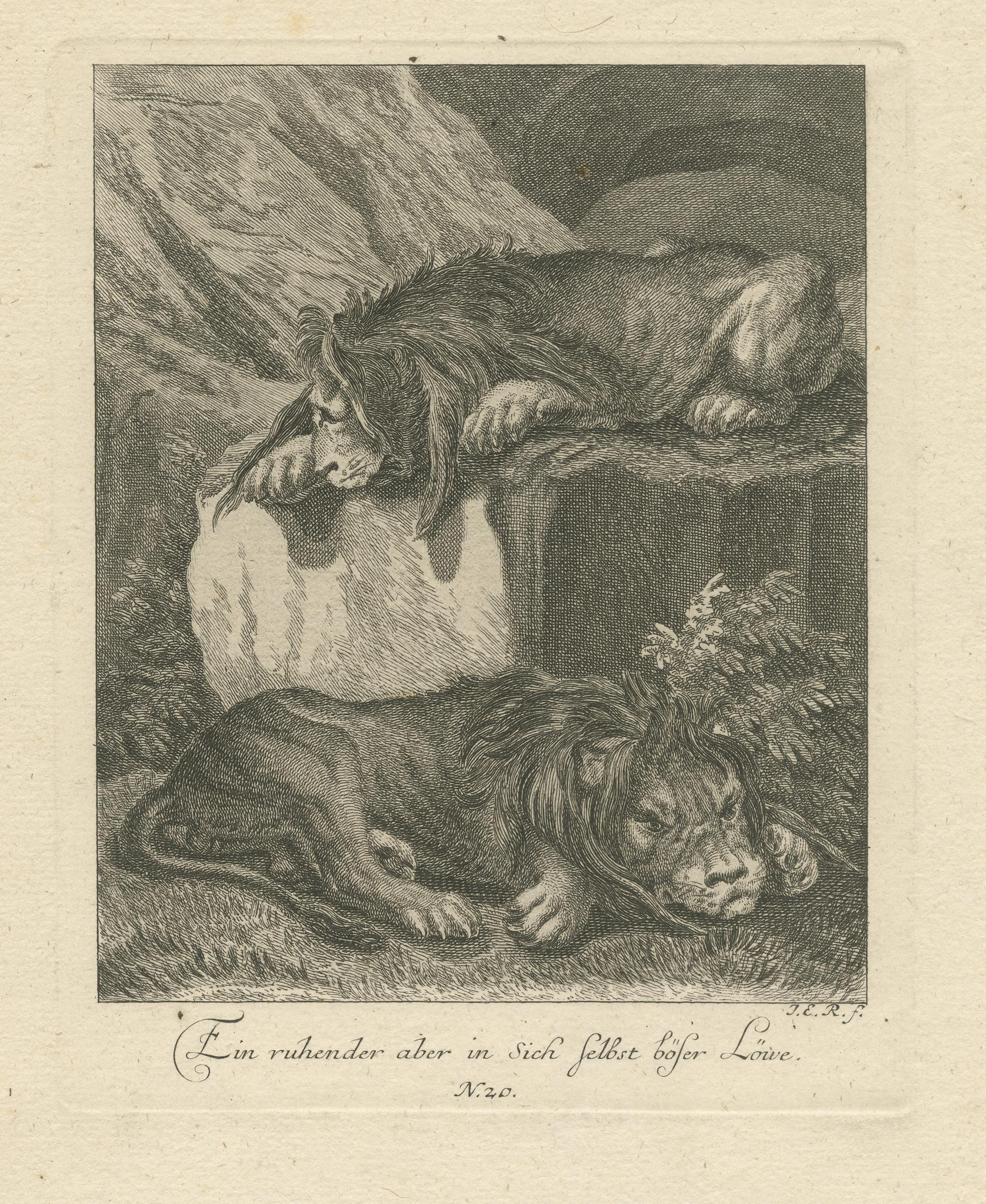 Original Antique Print of Two Lions Resting In Good Condition For Sale In Langweer, NL