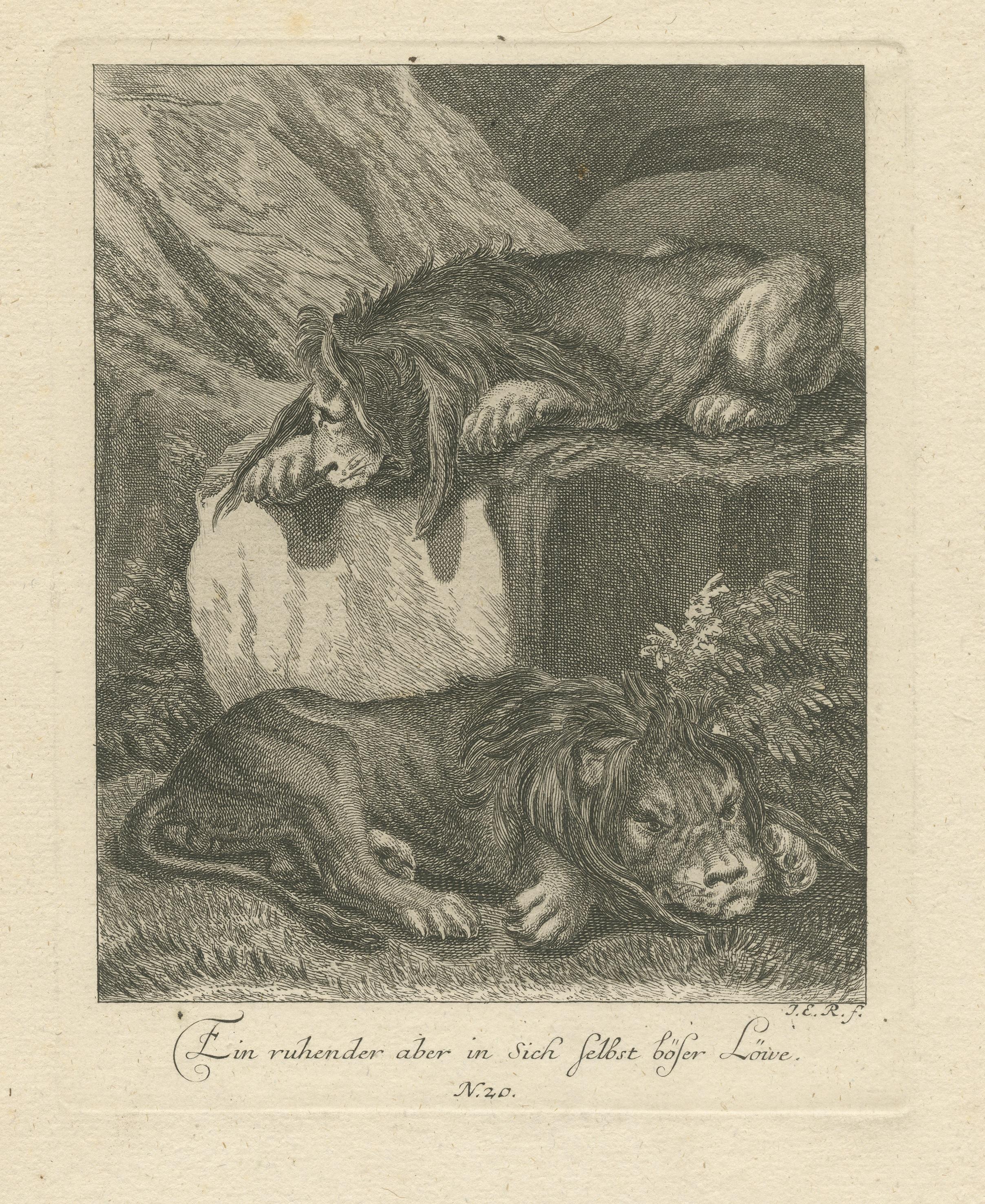 Grabado Antiguo Original de Dos Leones Descansando en Bueno estado para la venta en Langweer, NL