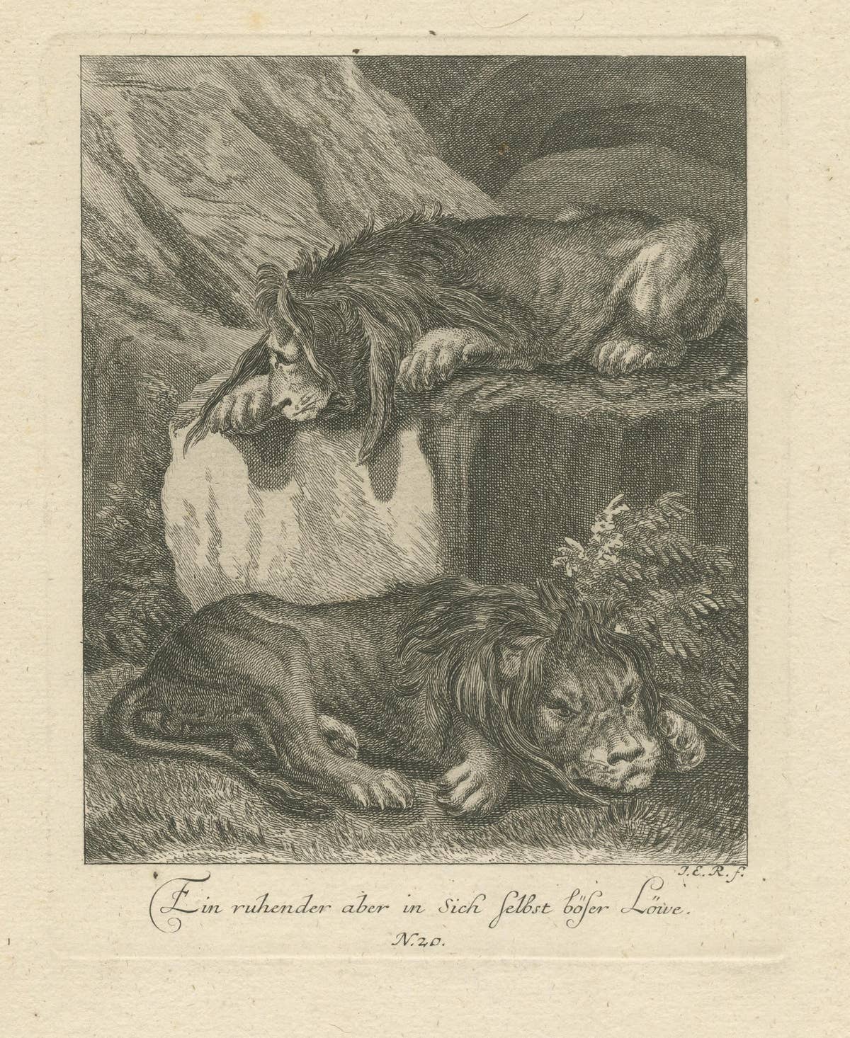Original Antique Print of Two Lions Resting