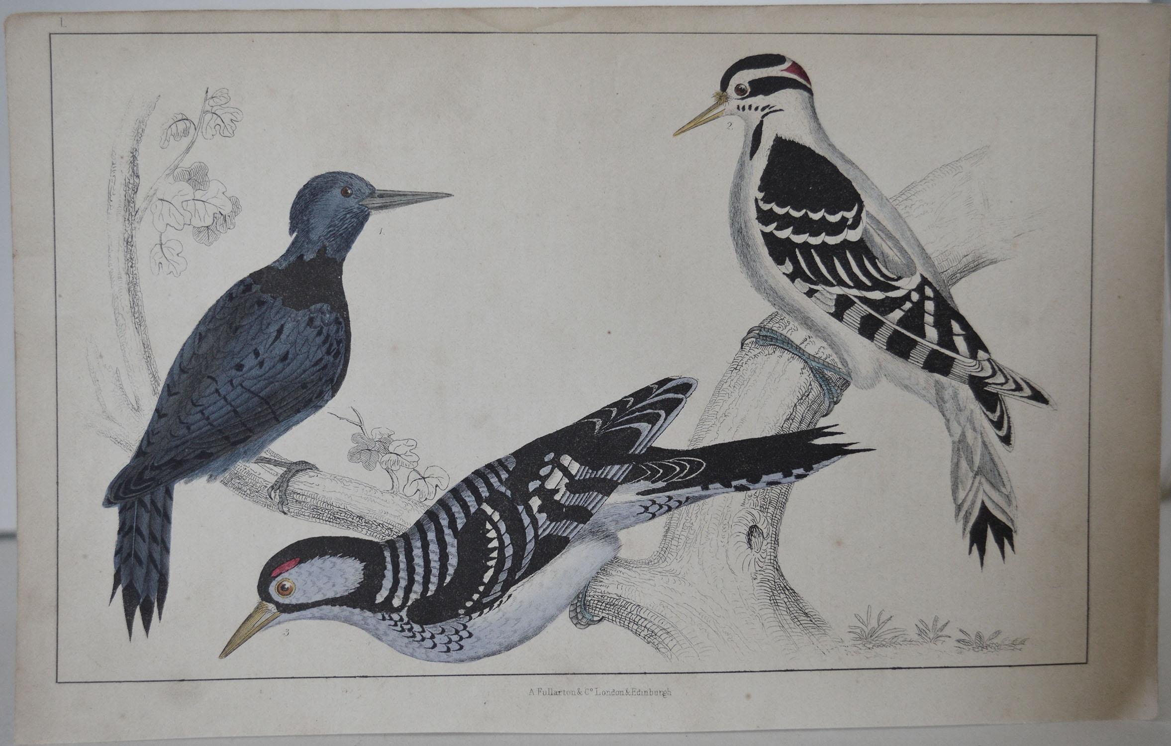 Great image of woodpeckers

Unframed. It gives you the option of perhaps making a set up using your own choice of frames.

Lithograph after Cpt. brown with original hand color.

Published, 1847.

Free shipping.




 