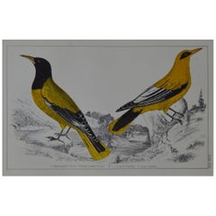 Folk Art Decorative Art