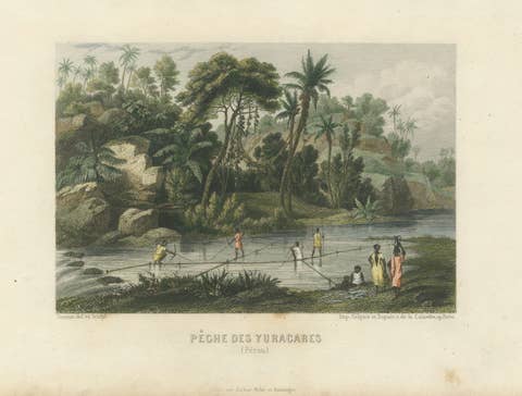 Original Antique Print of Yuracaré Fishing in Peru by Dureau, c.1840