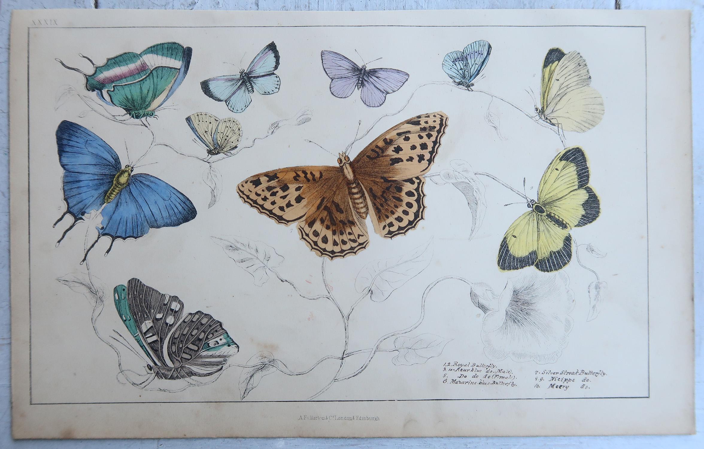 Anglais Impressions anciennes de papillons, 1847 en vente