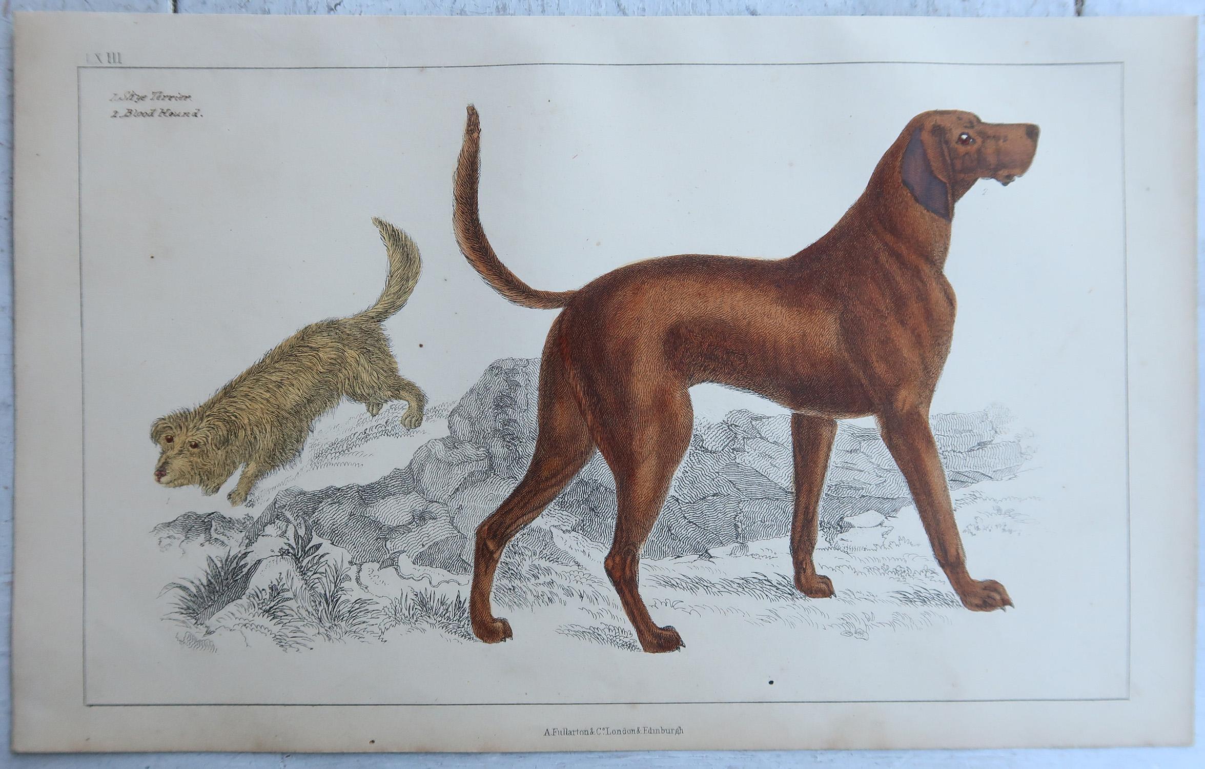 Artisanat Impressions anciennes originales de chiens de sport, 1847 en vente