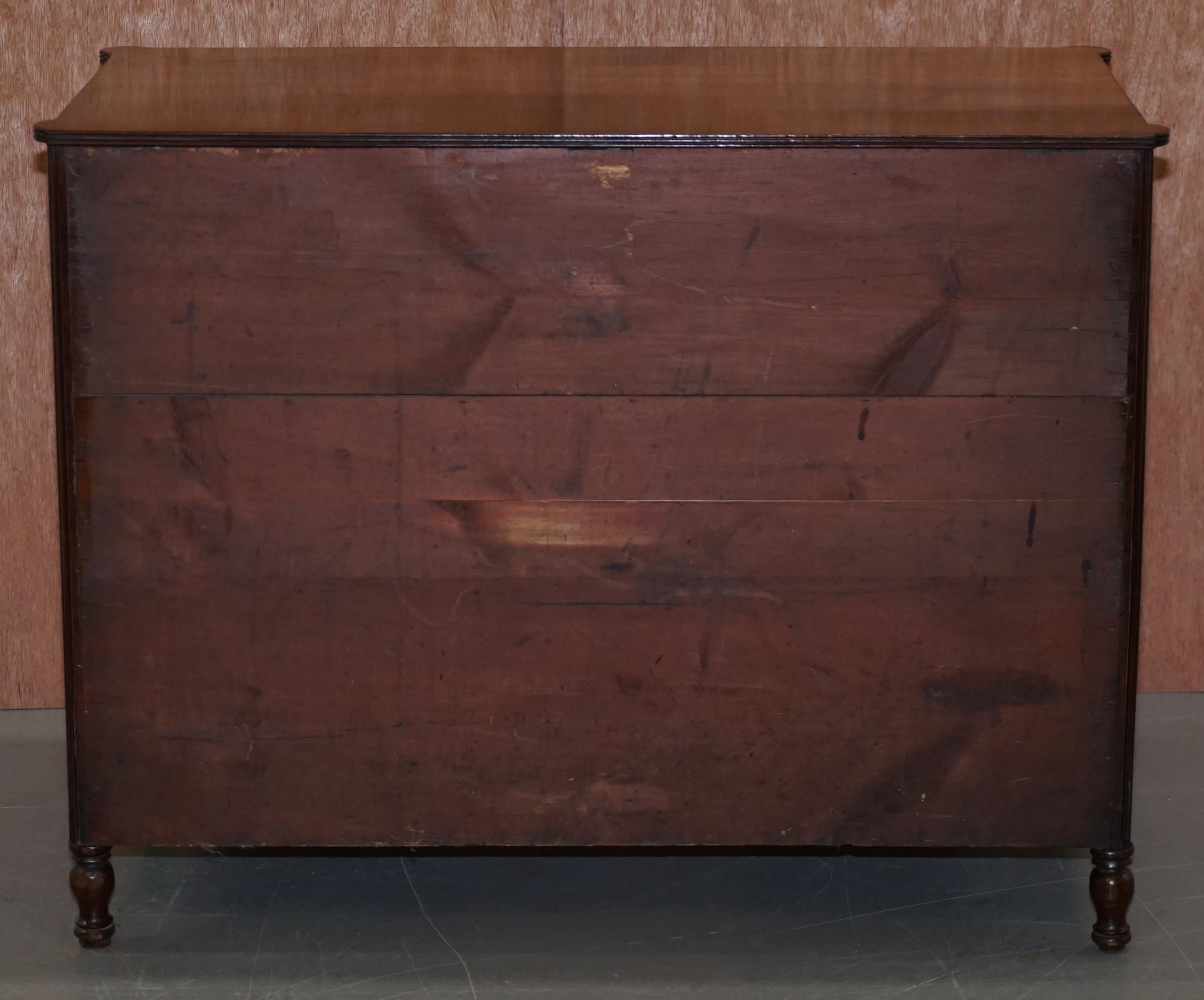 Original Antique Regency circa 1815 Mahogany Blanket Chest Cupboard with Drawers 5