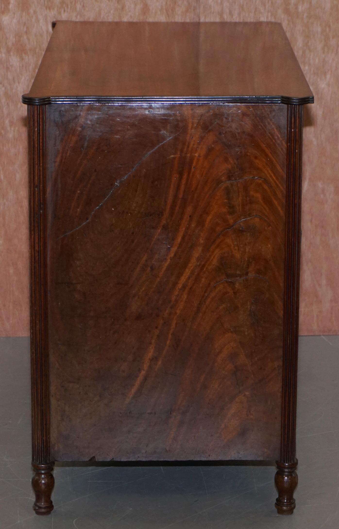 Original Antique Regency circa 1815 Mahogany Blanket Chest Cupboard with Drawers 6