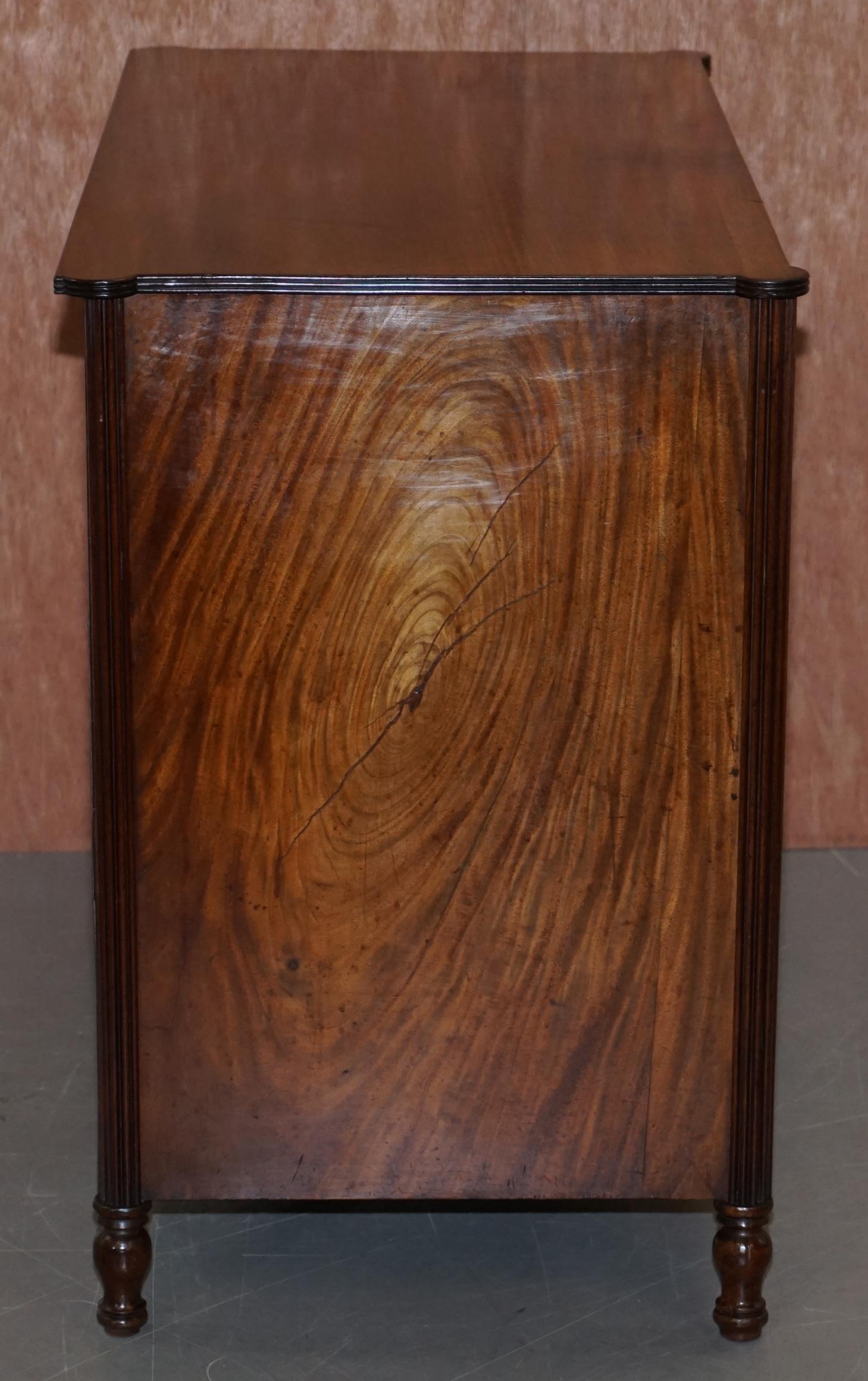 Original Antique Regency circa 1815 Mahogany Blanket Chest Cupboard with Drawers 2