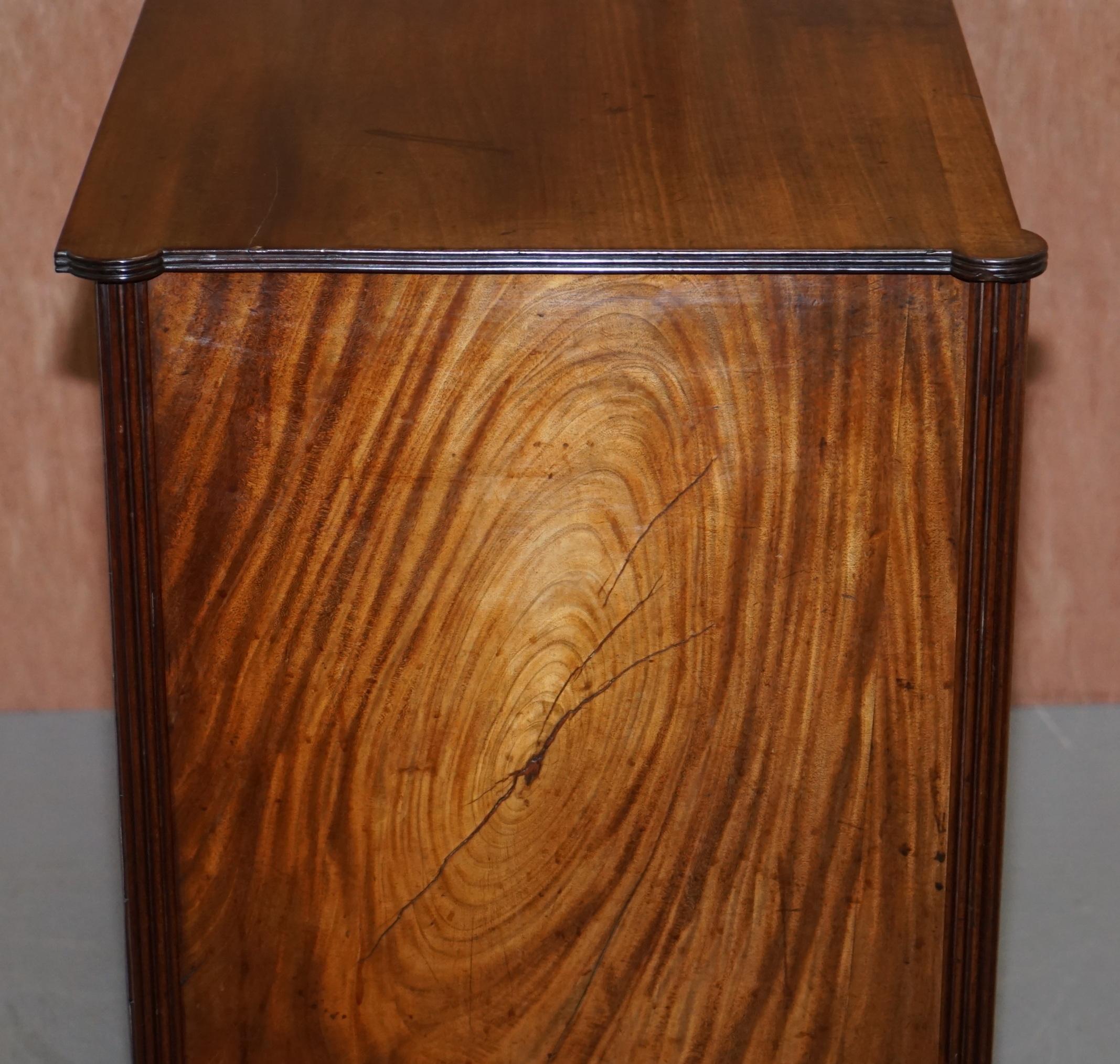 Original Antique Regency circa 1815 Mahogany Blanket Chest Cupboard with Drawers 3