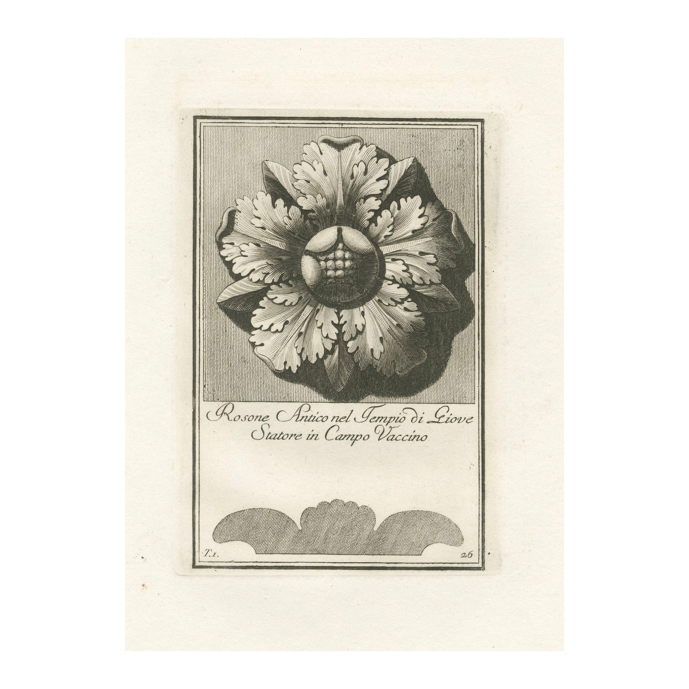 Original Antique Roman Rosette Engraving #26, Campo Vaccino