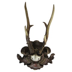 Original Antique Deer Taxidermy 1902