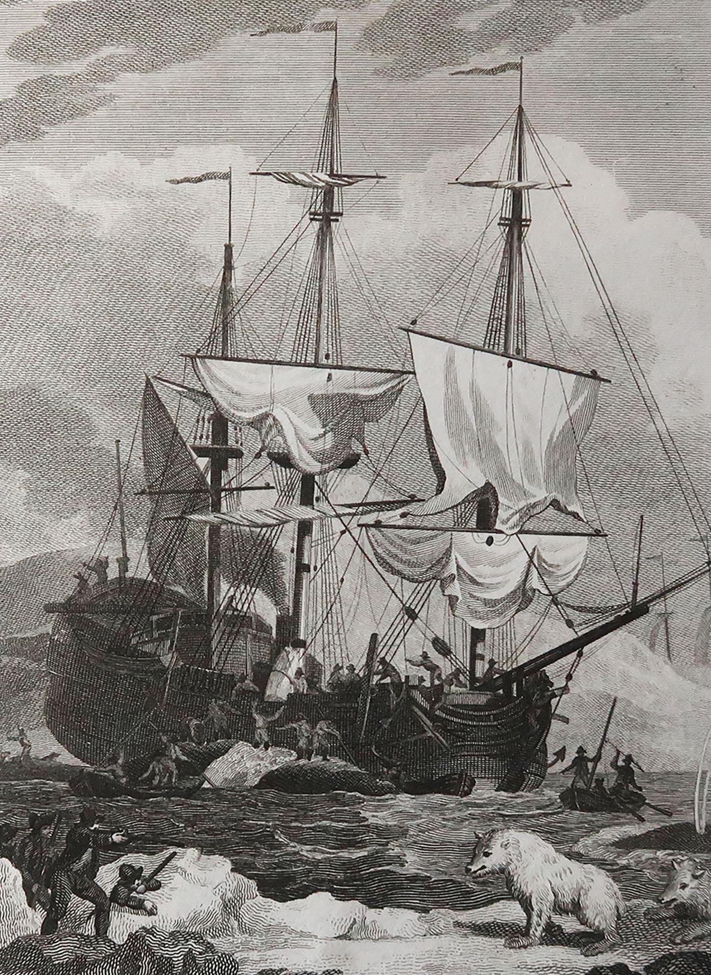 Great image of a whaling scene

Copper-plate engraving

Published C.1800

Unframed.