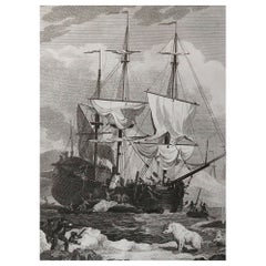 Impression originale et ancienne de baleines, vers 1800