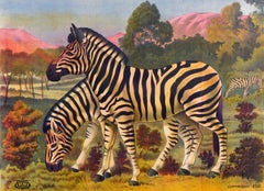Original Antique Zoological Poster Zebra Litho Creber Plymouth Savanna