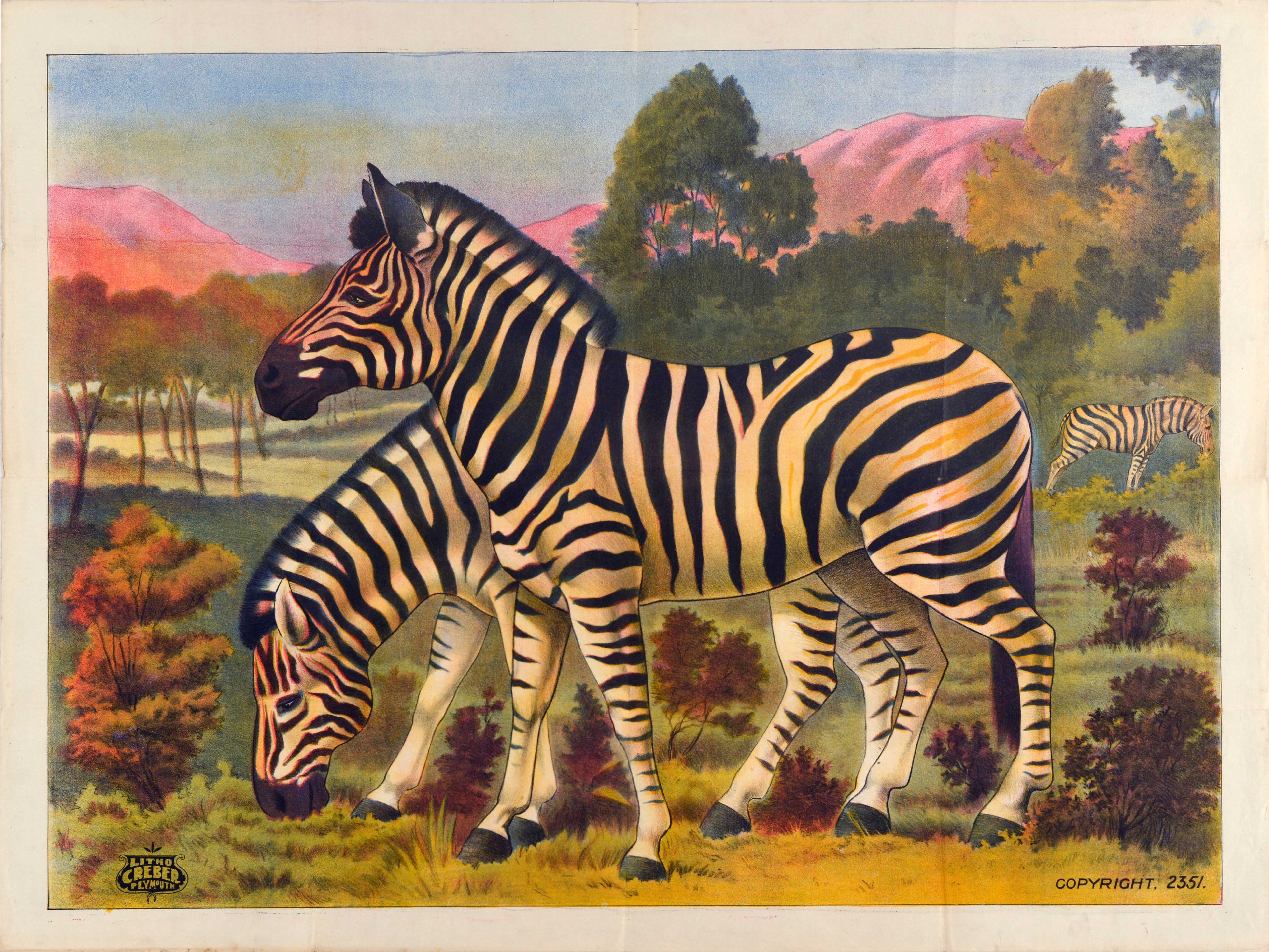 Original Antique Zoological Poster Zebra Litho Creber Plymouth Savanna