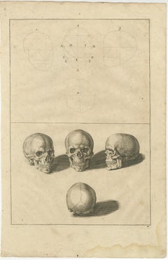 Original AntiquePlaque d'anatomie du crâne humain d'après de Lairesse German Edition, 1745