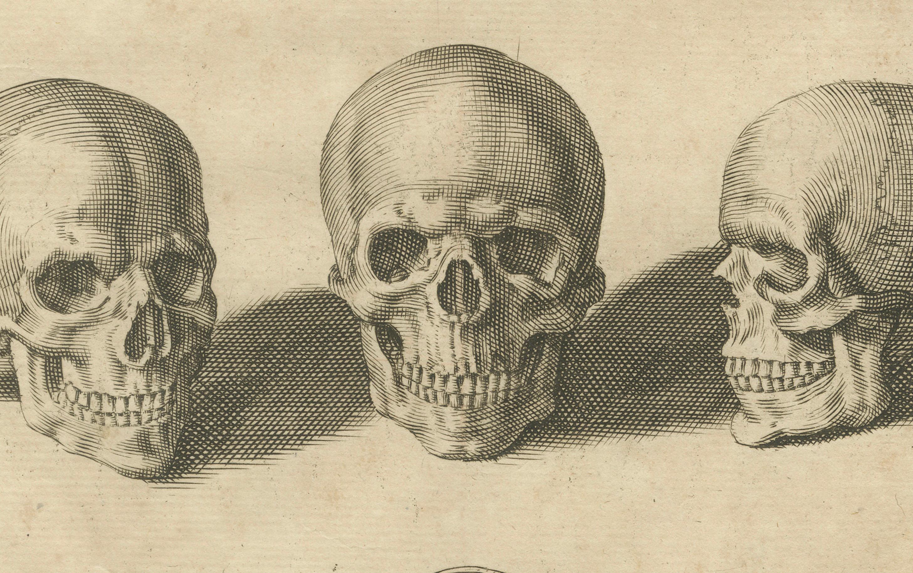 Original AntiqueHuman Skull Anatomy Plate after de Lairesse German Edition, 1745