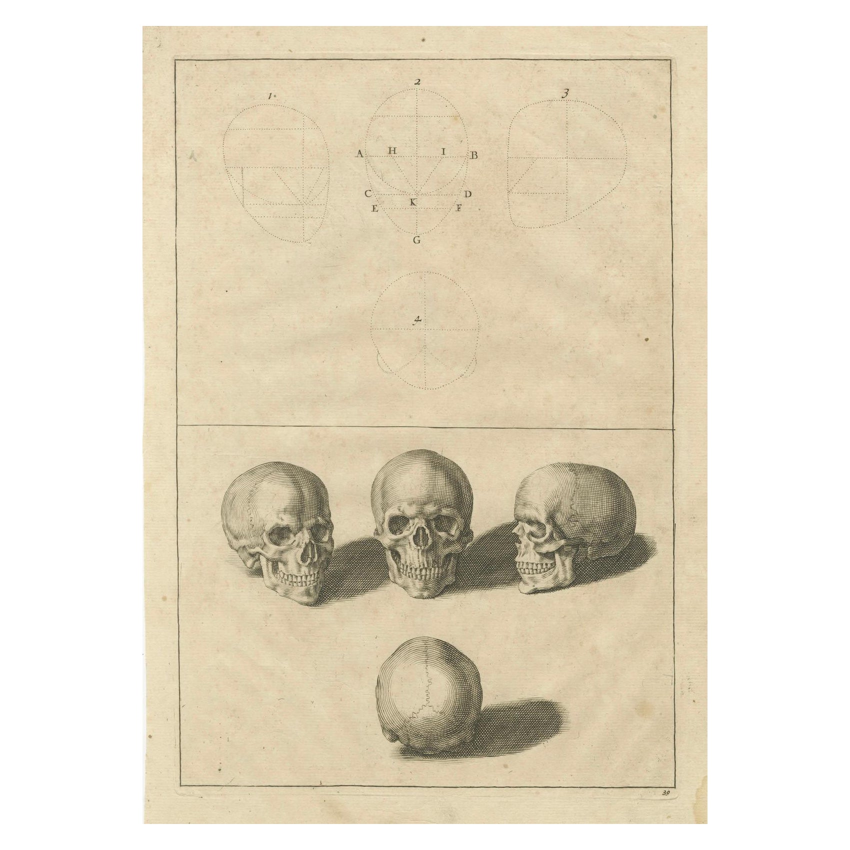 Original AntiqueHuman Skull Anatomy Plate after de Lairesse German Edition, 1745