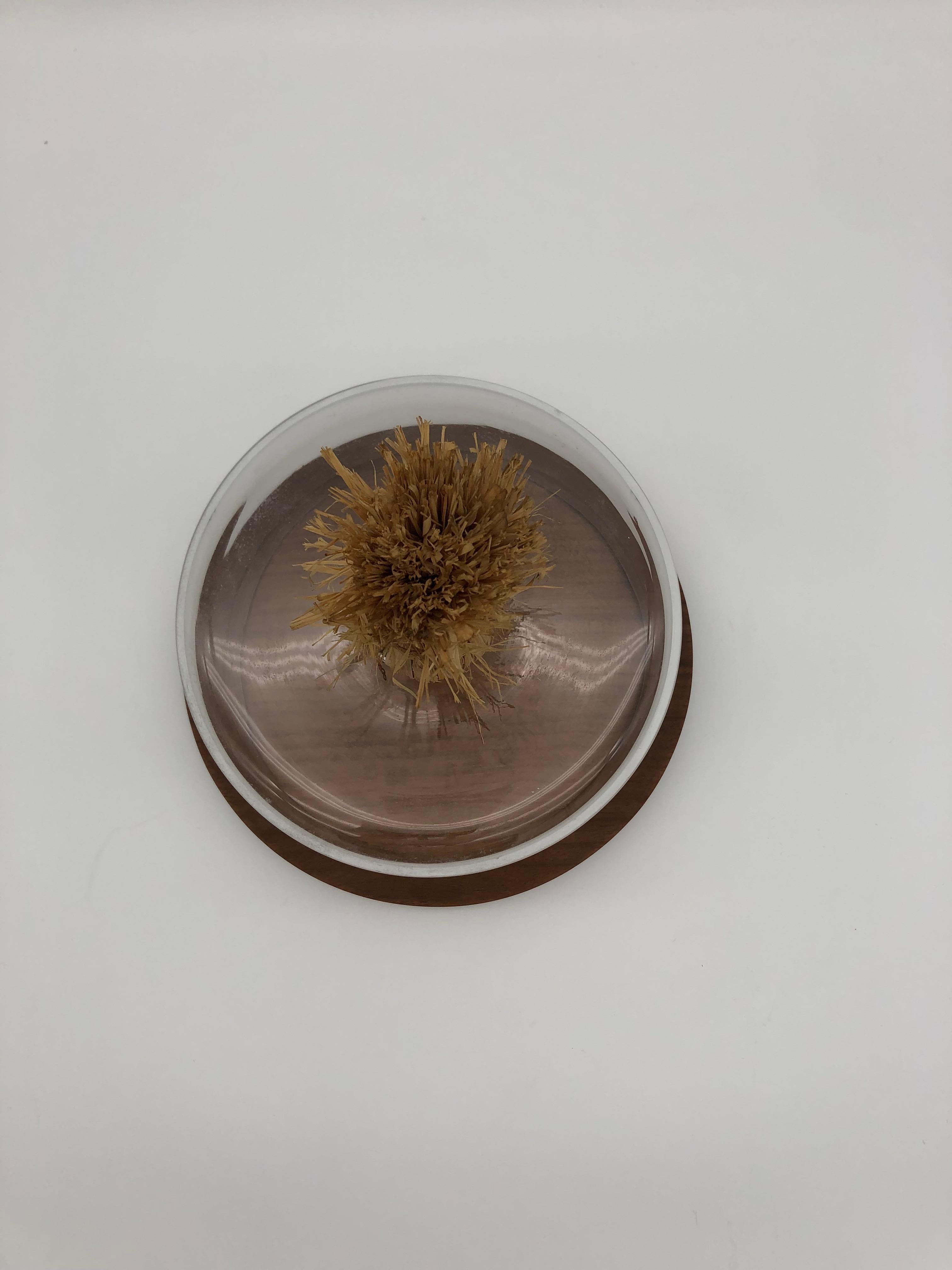 Austrian Original Aubock Cheeseplate with Glassdome from 1950
