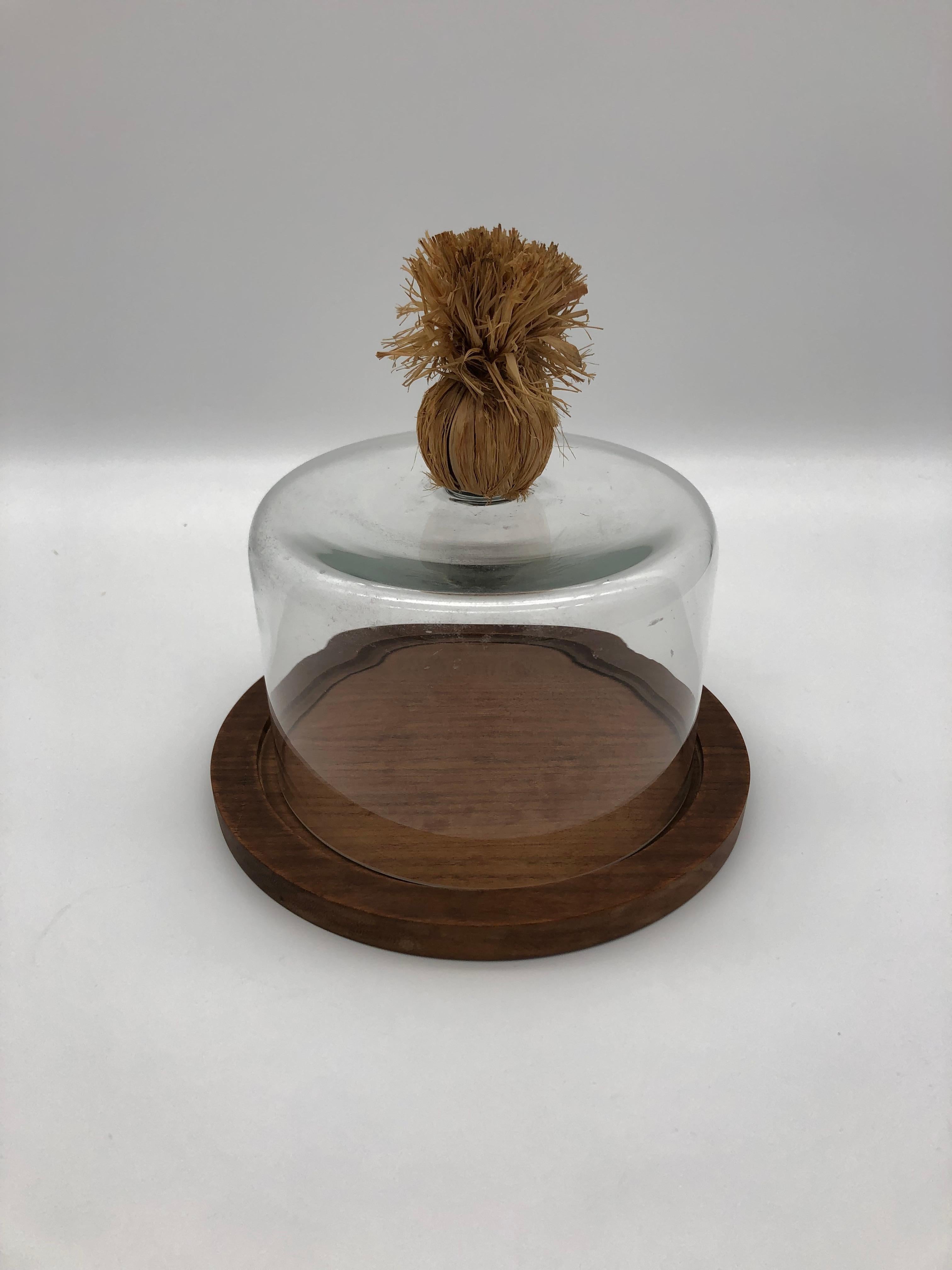 Original Aubock Cheeseplate with Glassdome from 1950 In Good Condition In Vienna, AT
