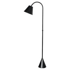 Floor Lamps