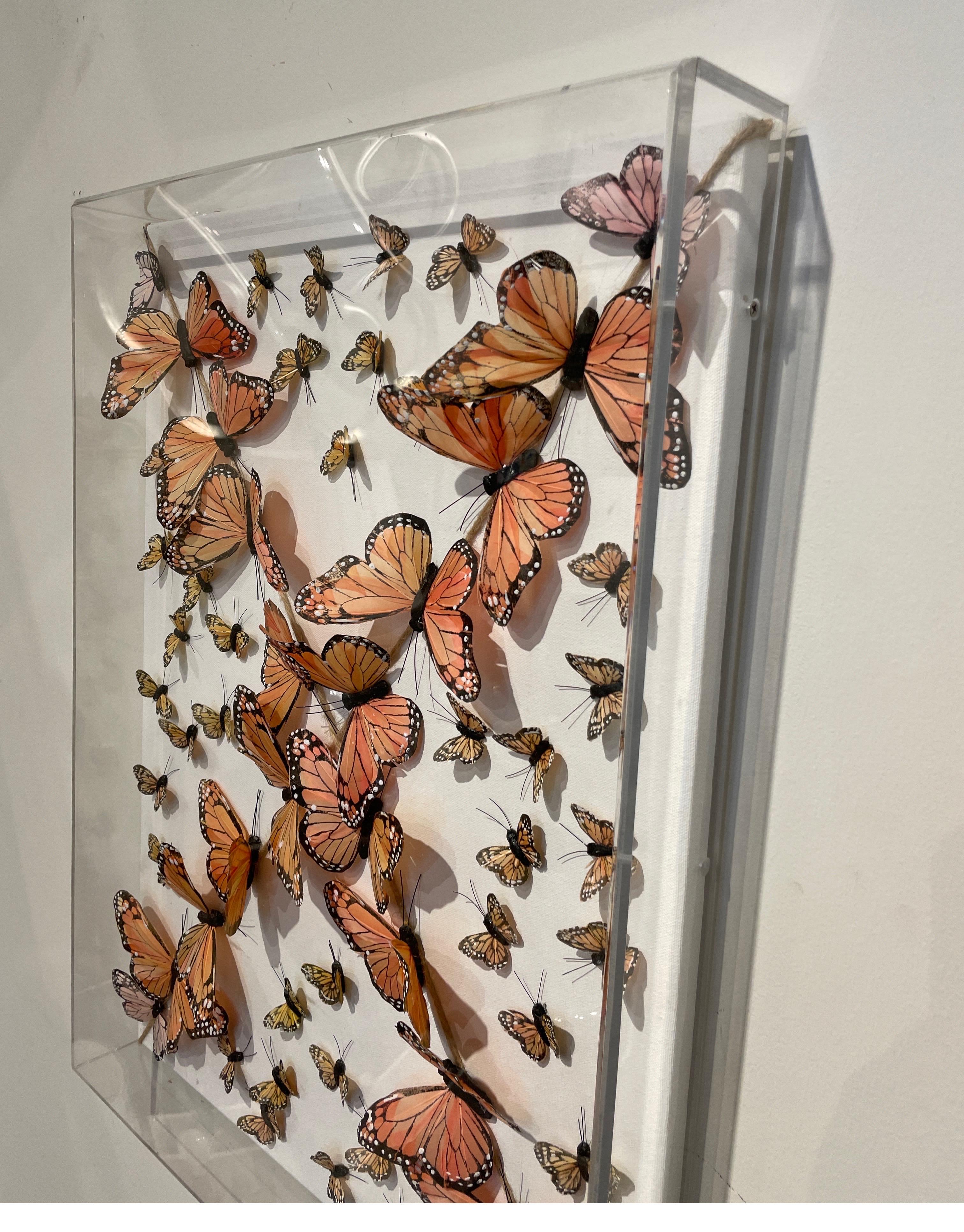 butterfly shadow box art