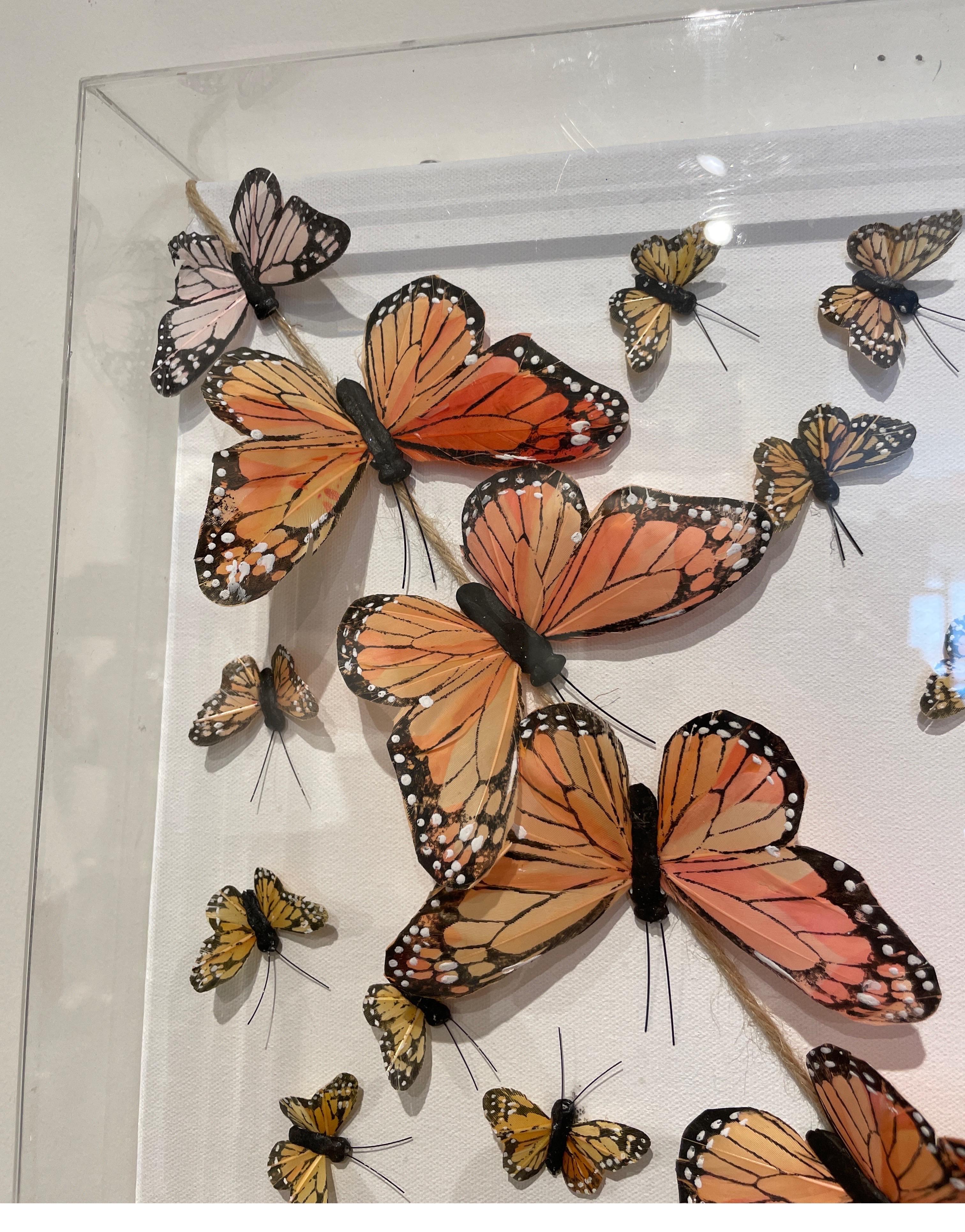 Schmetterlingskunst von Nadine Kalachnikoff (21. Jahrhundert und zeitgenössisch) im Angebot