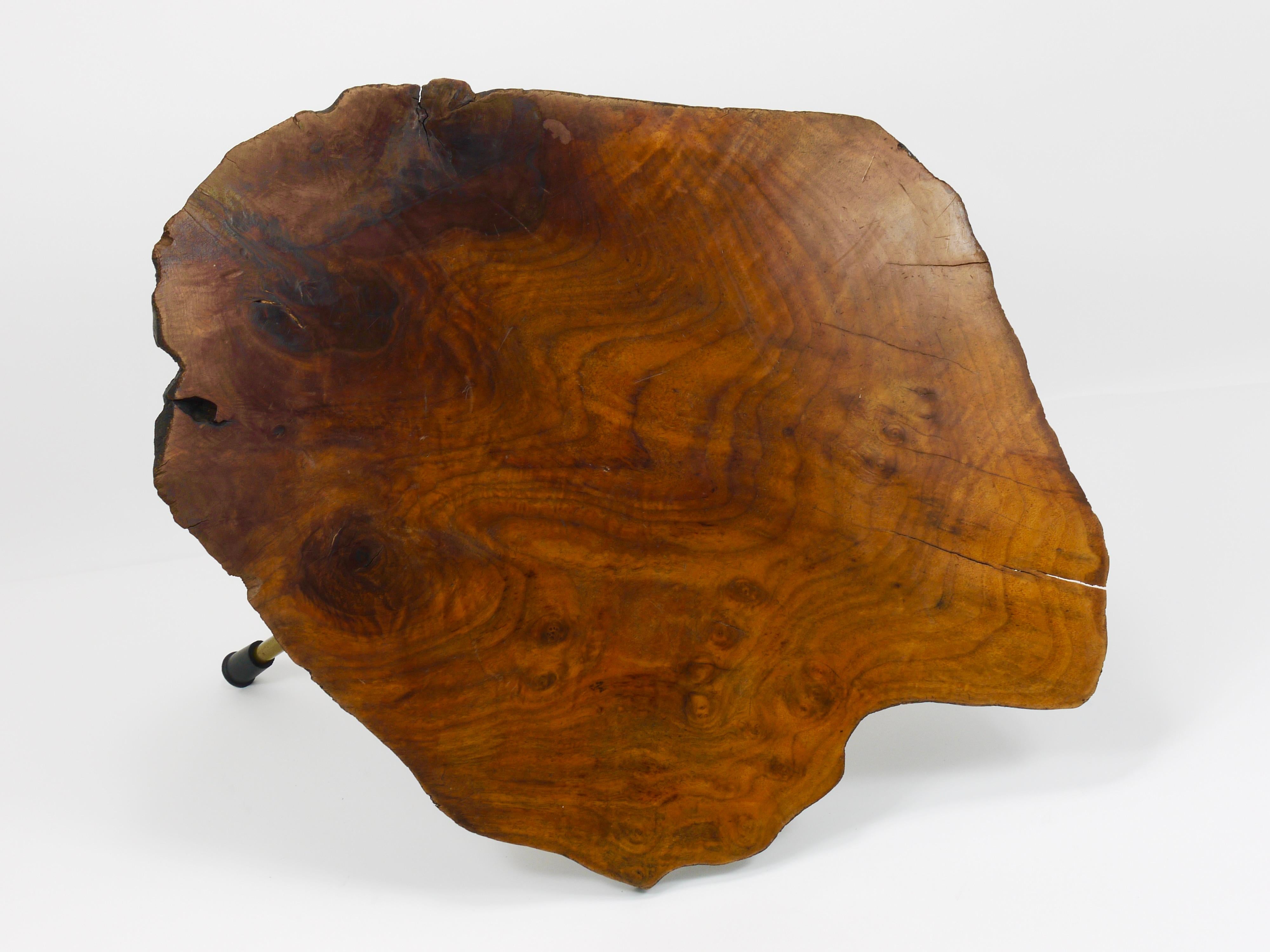 Lucidato Tavolino originale Carl Aubock con tronco d'albero in noce, anni '50 in vendita