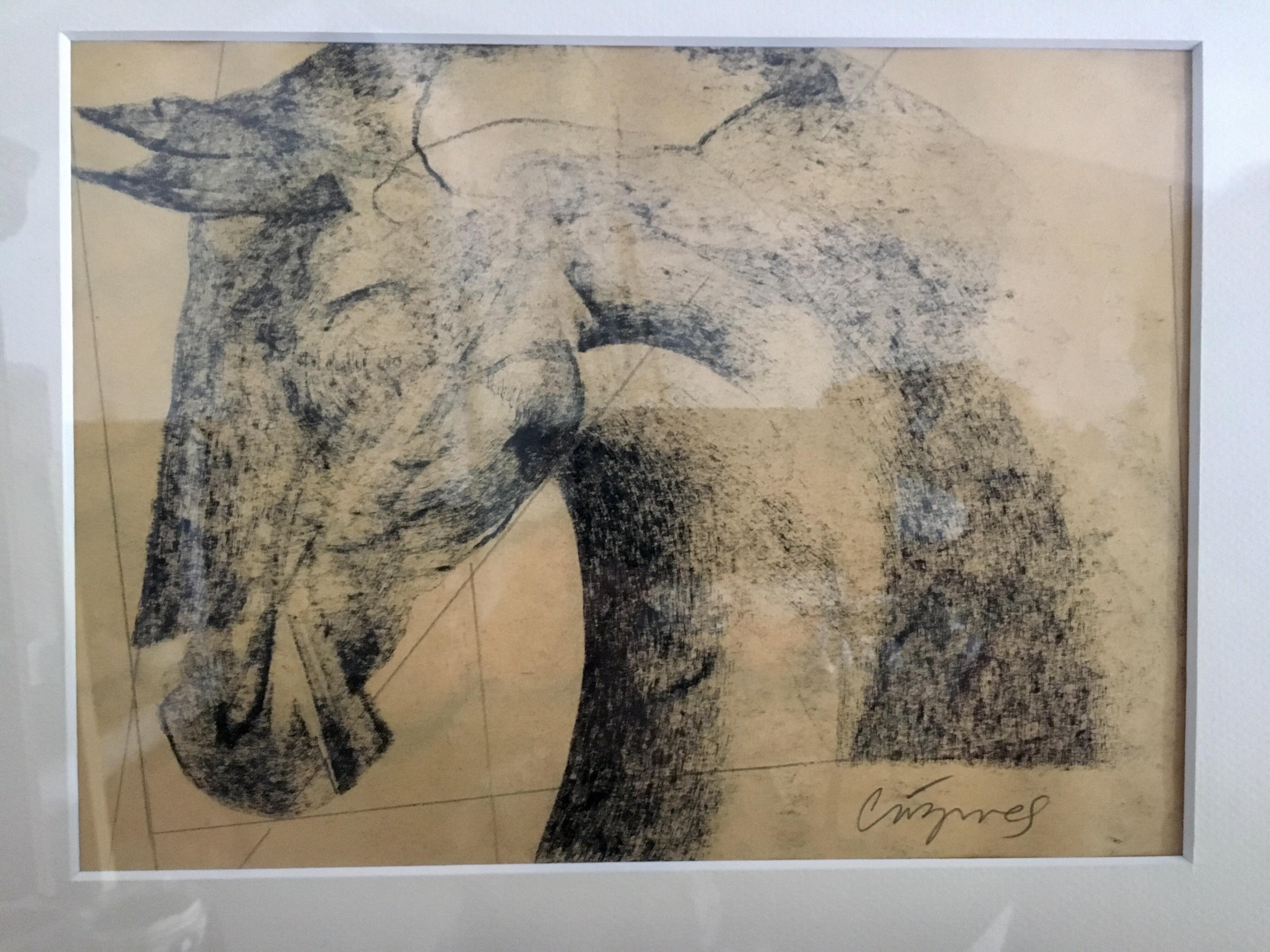 Original charcoal on paper. Study of a horse. Juan Carlos Cazares was born in Queretaro, Mexico in 1976. In 1997 he won the prize for young adults at the Queretaro Museum of Art. Juan Carlos has continually exhibited in San Miguel Allende,