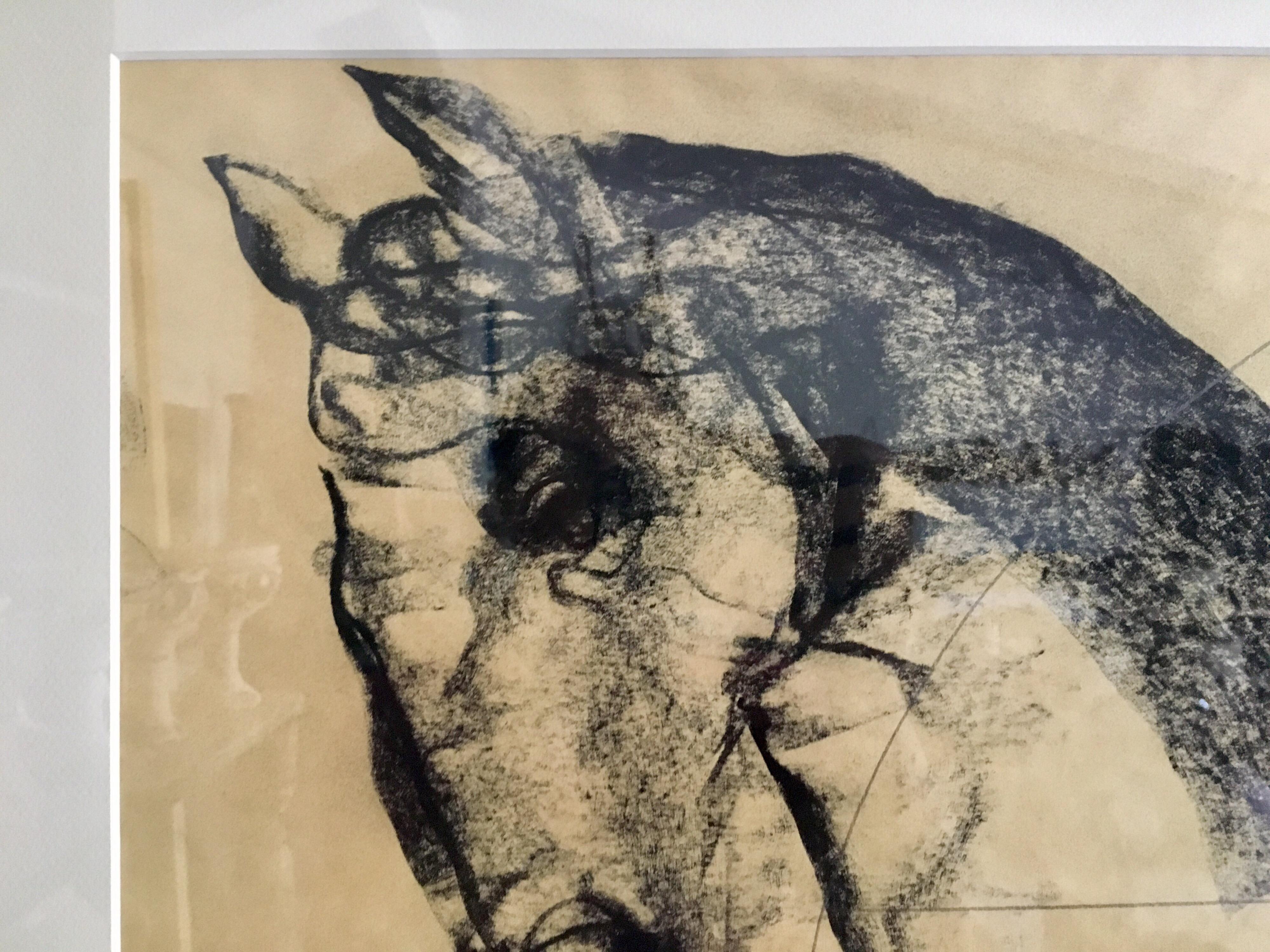 Original charcoal on paper. Study of a horse. Juan Carlos Cazares was born in Queretaro, Mexico in 1976. In 1997 he won the prize for young adults at the Queretaro Museum of Art. Juan Carlos has continually exhibited in San Miguel Allende,