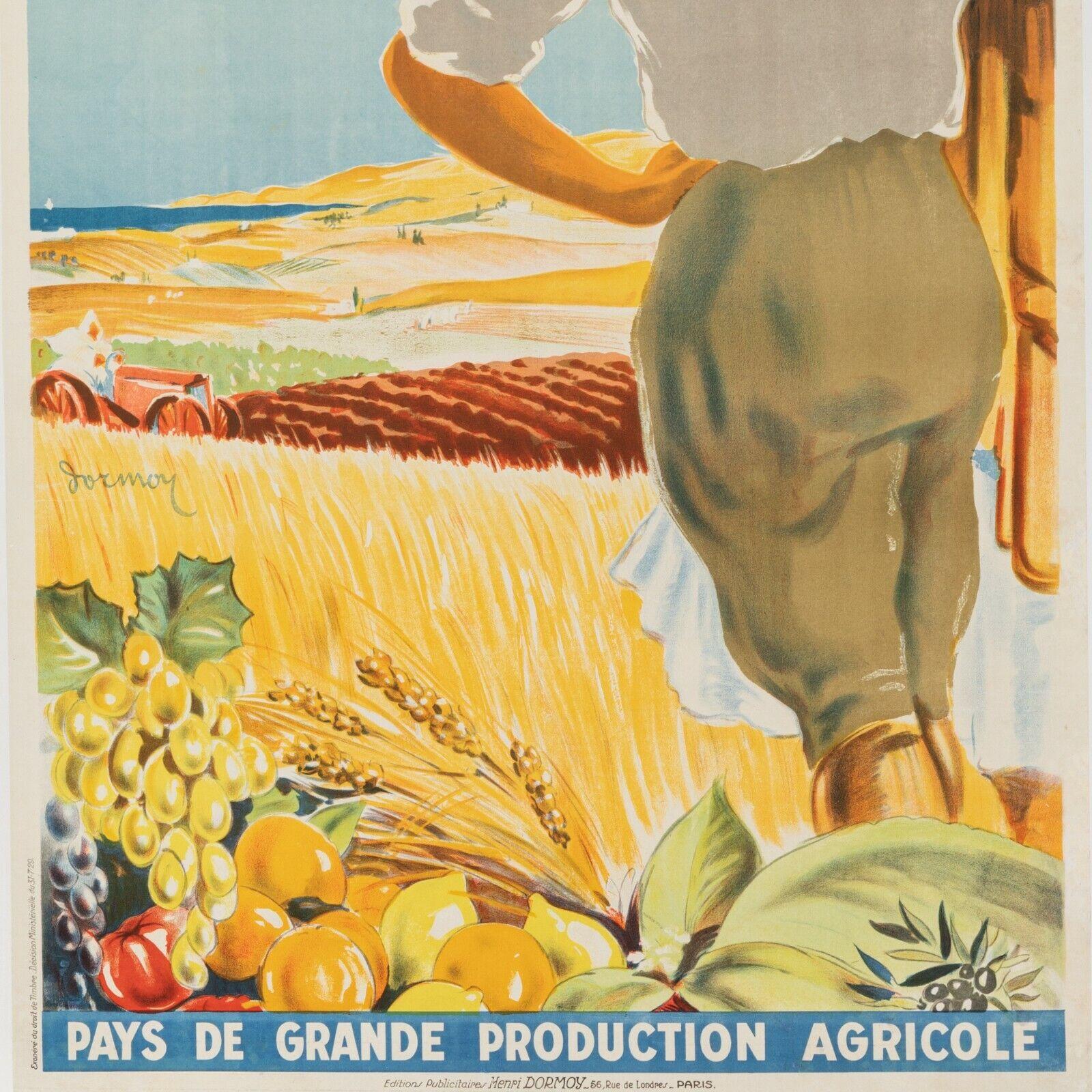 French Original Colonial Poster-Dormoy-Algeria 1830 1930-Farmland, 1930 For Sale