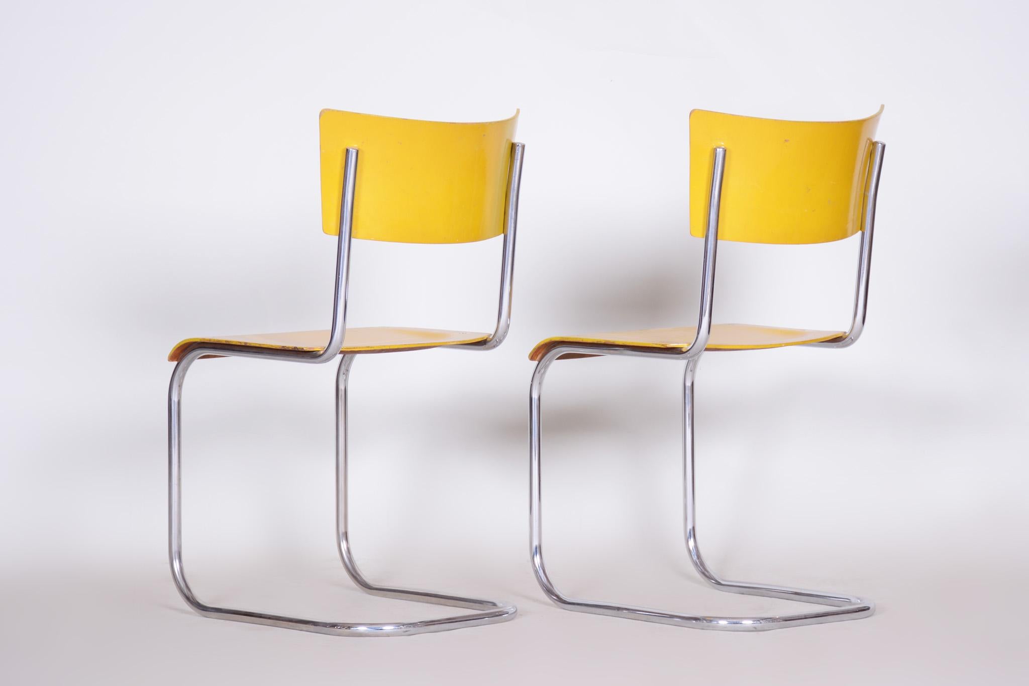 Original Condition Czech Bauhaus Yellow Pair of Chairs by Mart Stam, 1930s 3