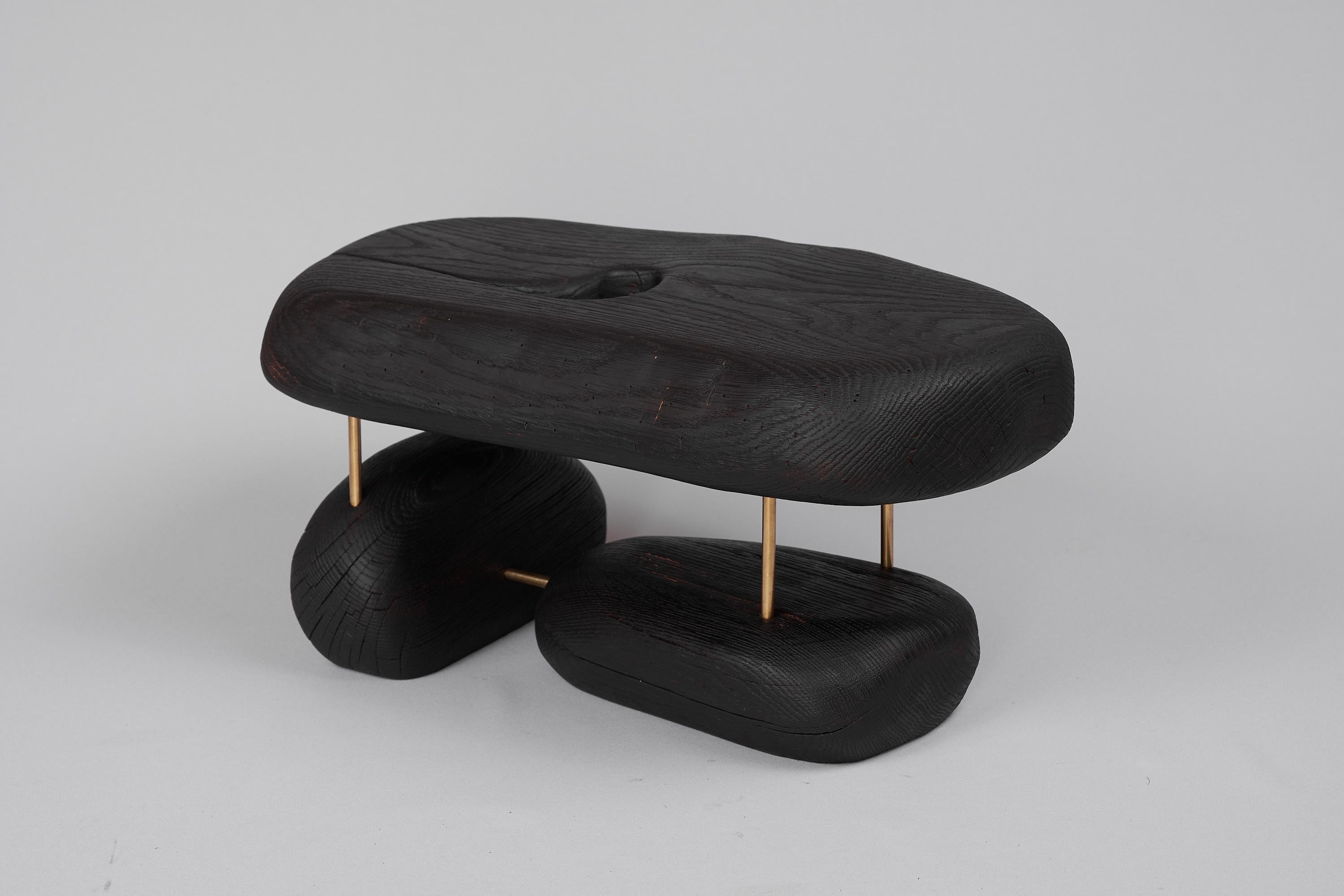 Croatian Original Contemporary Design, Burnt Oak with Brass, Unique Side Table, Logniture For Sale