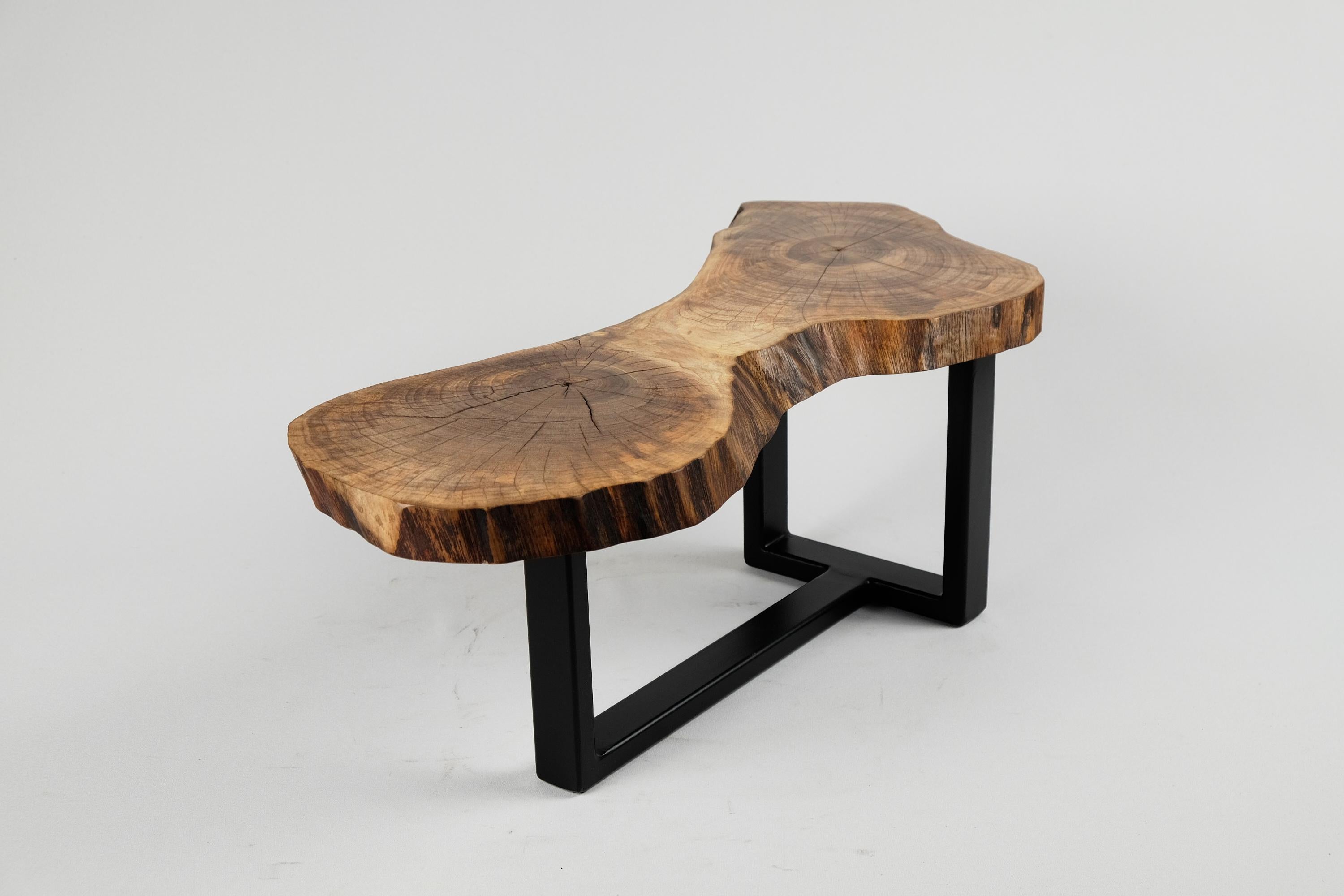 Original Contemporary Design, Burnt Oak with Steel, Unique Side Table, Logniture 5